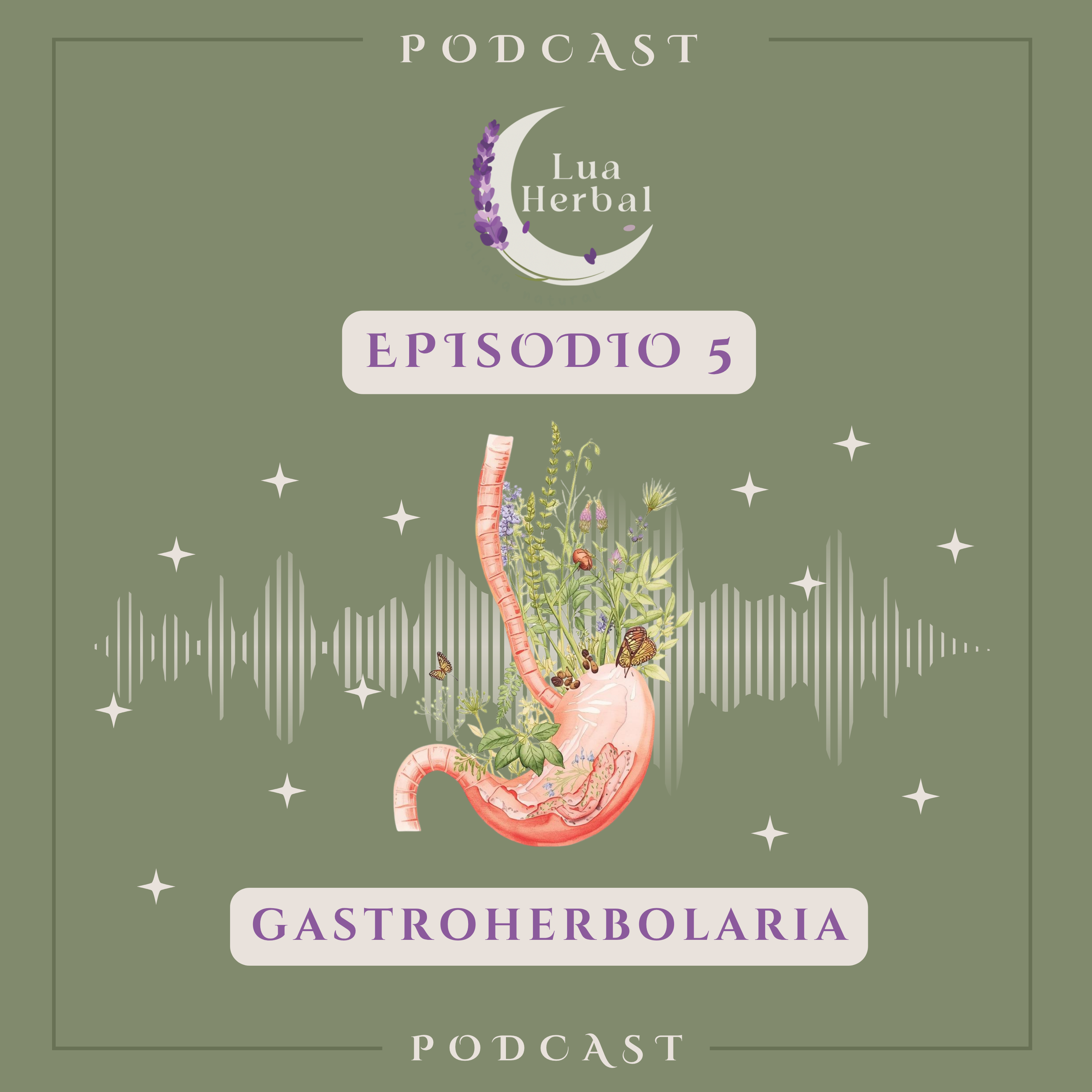 5. Gastroherbolaria