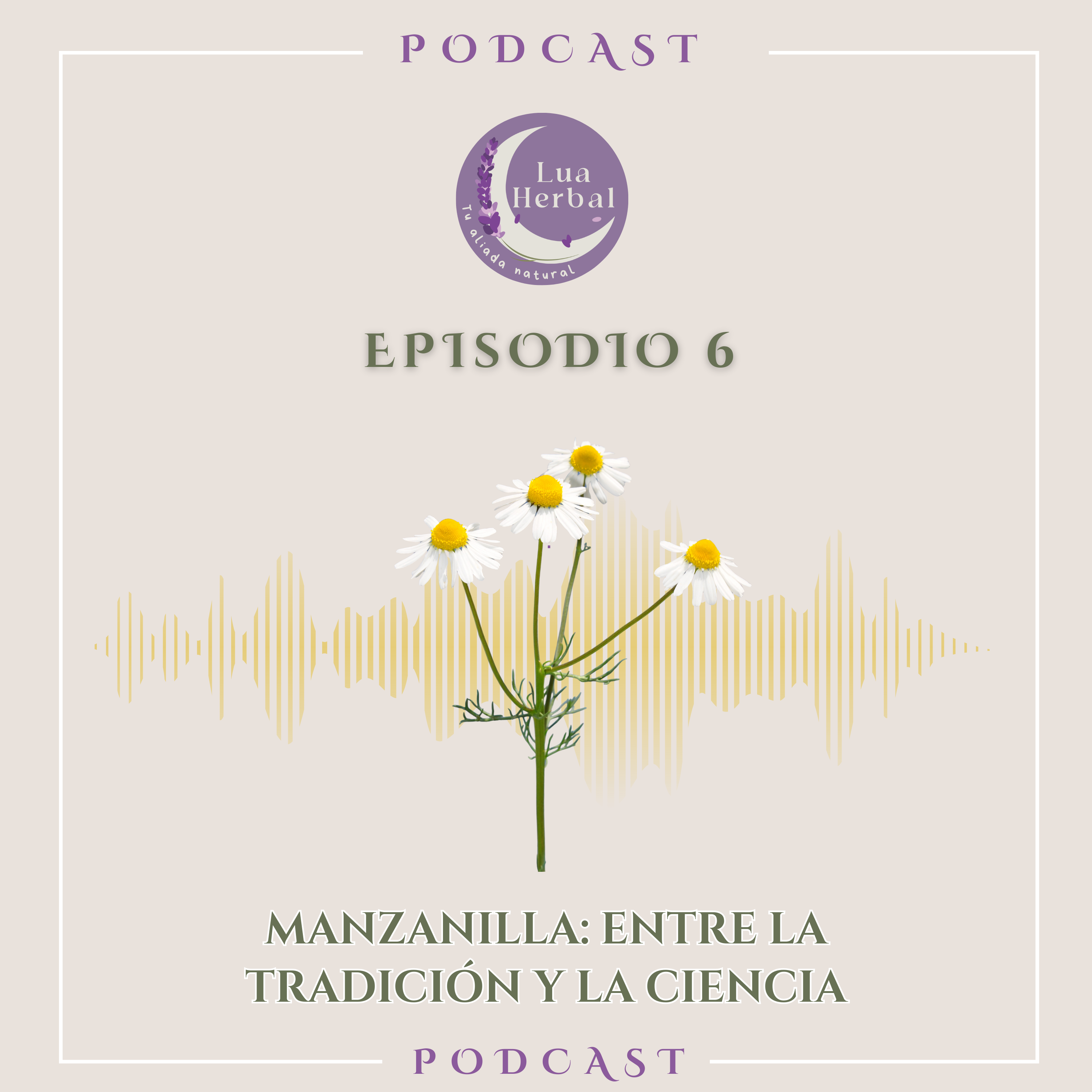 Manzanilla: entre la tradición y la ciencia