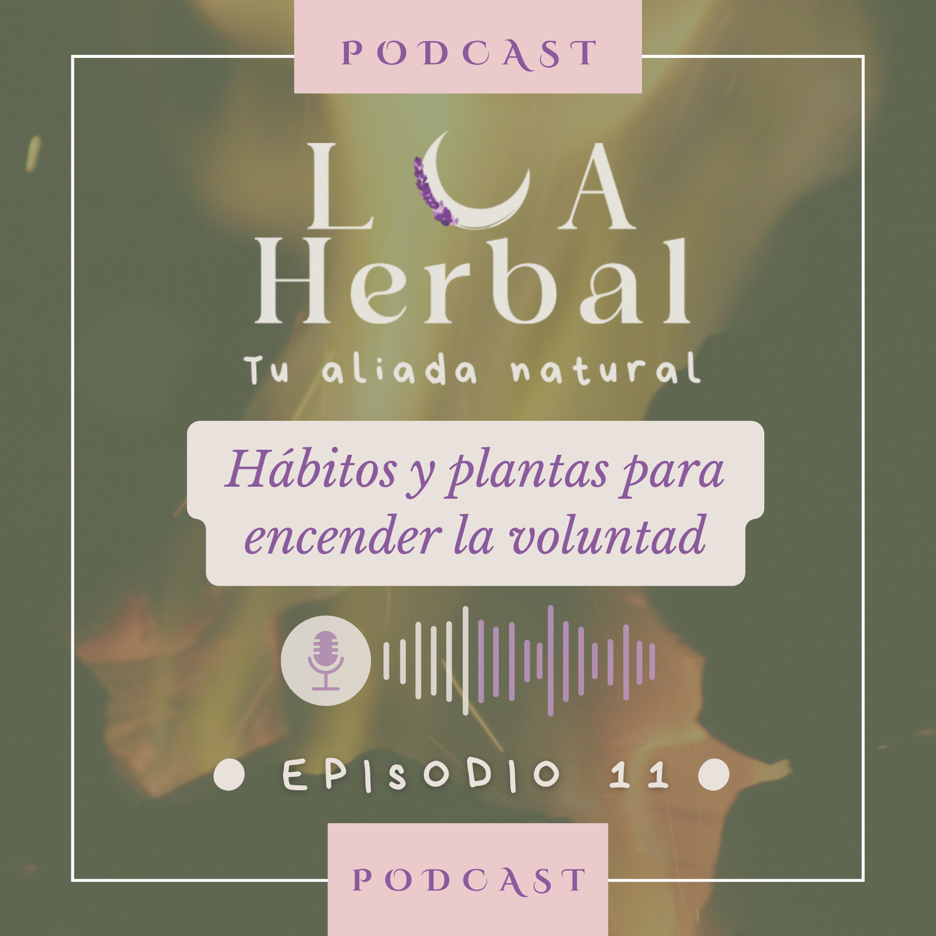 11. Hábitos y plantas para encender la voluntad