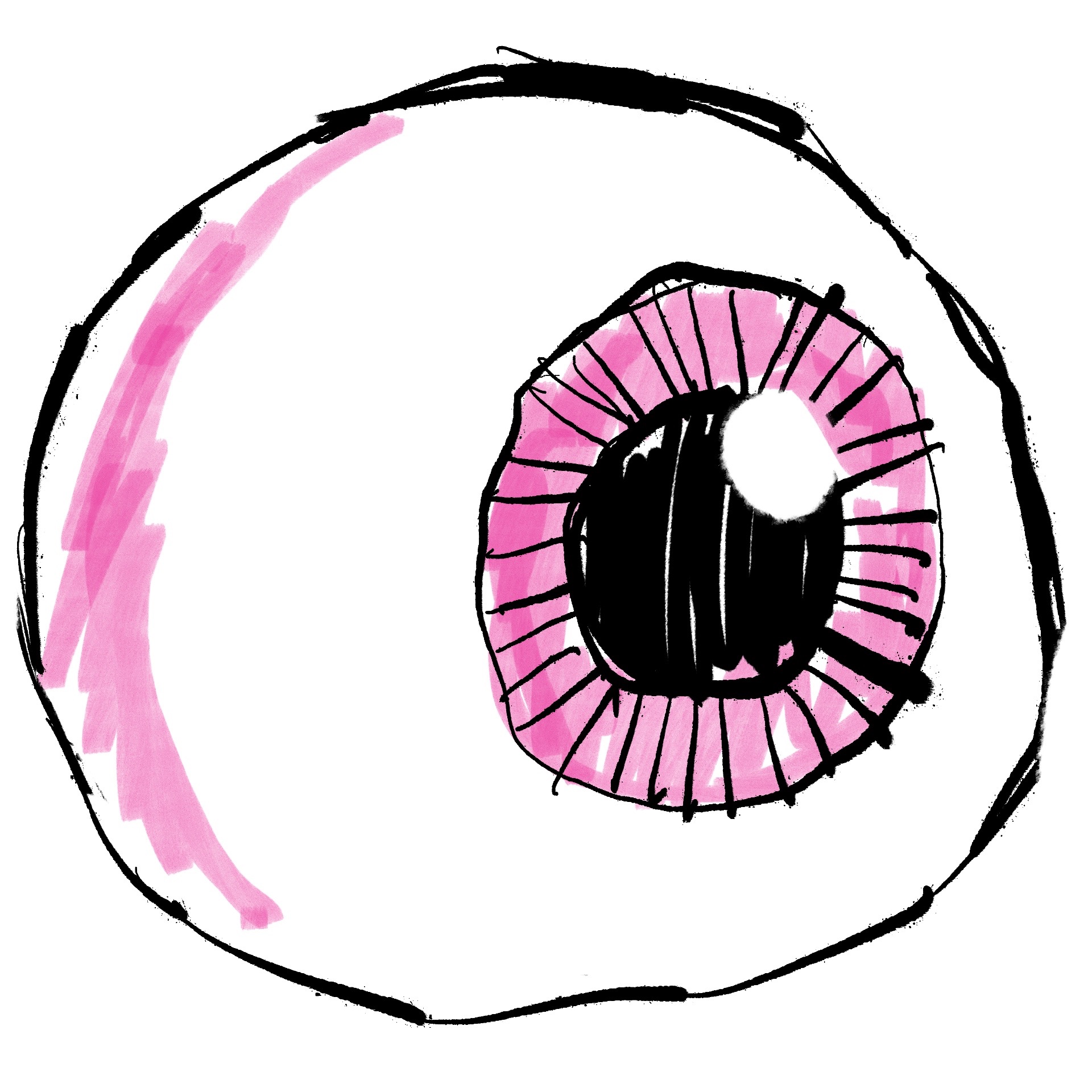 Gabriel Custodiet on privacy, decentralisation and watching the watchmen