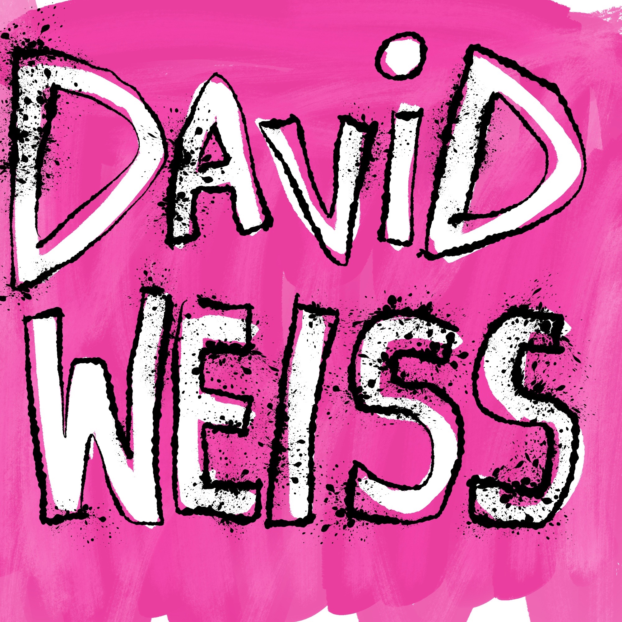 David Weiss argues that Earth is flat and gives evidence