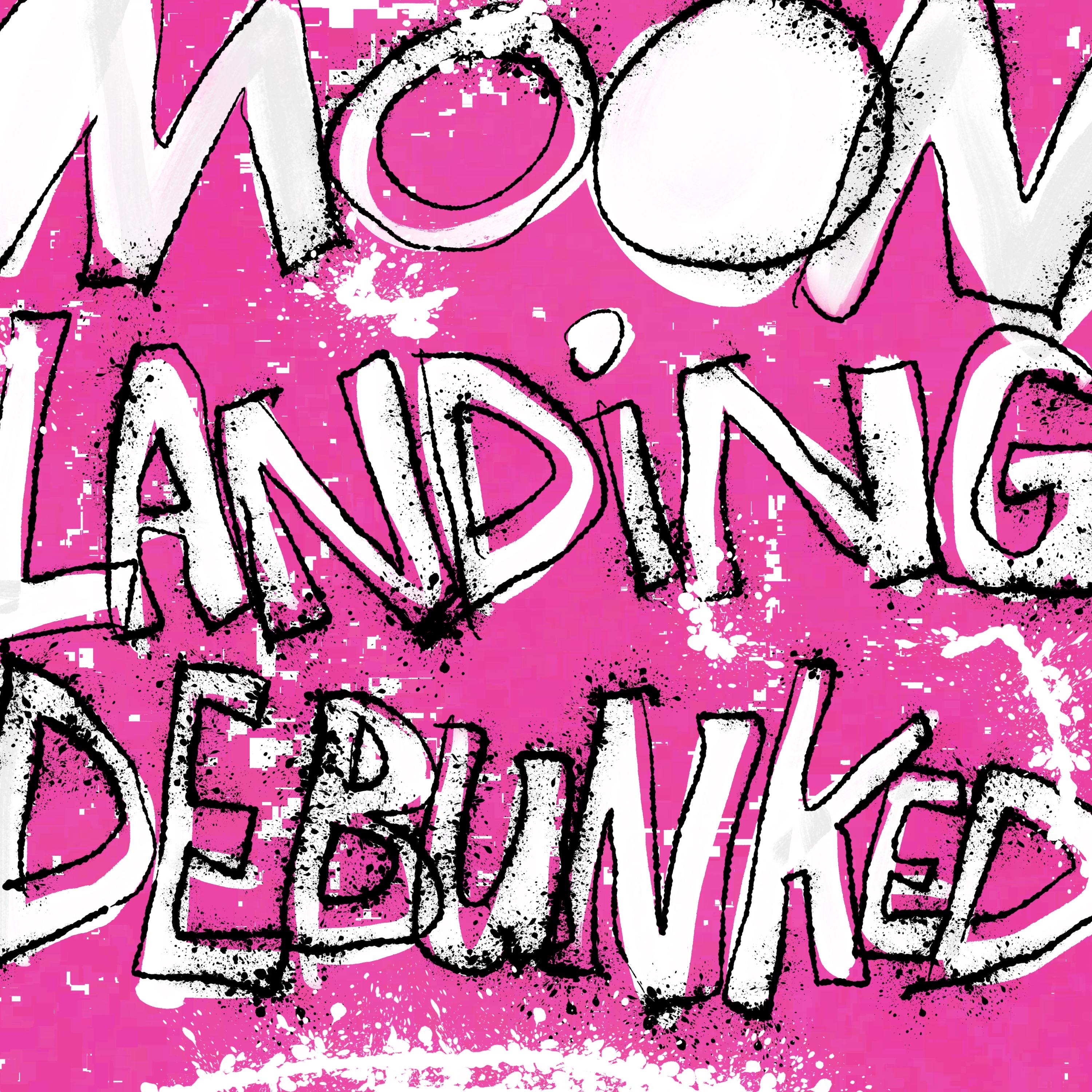 There's no way they landed on the moon in that crappy tin can