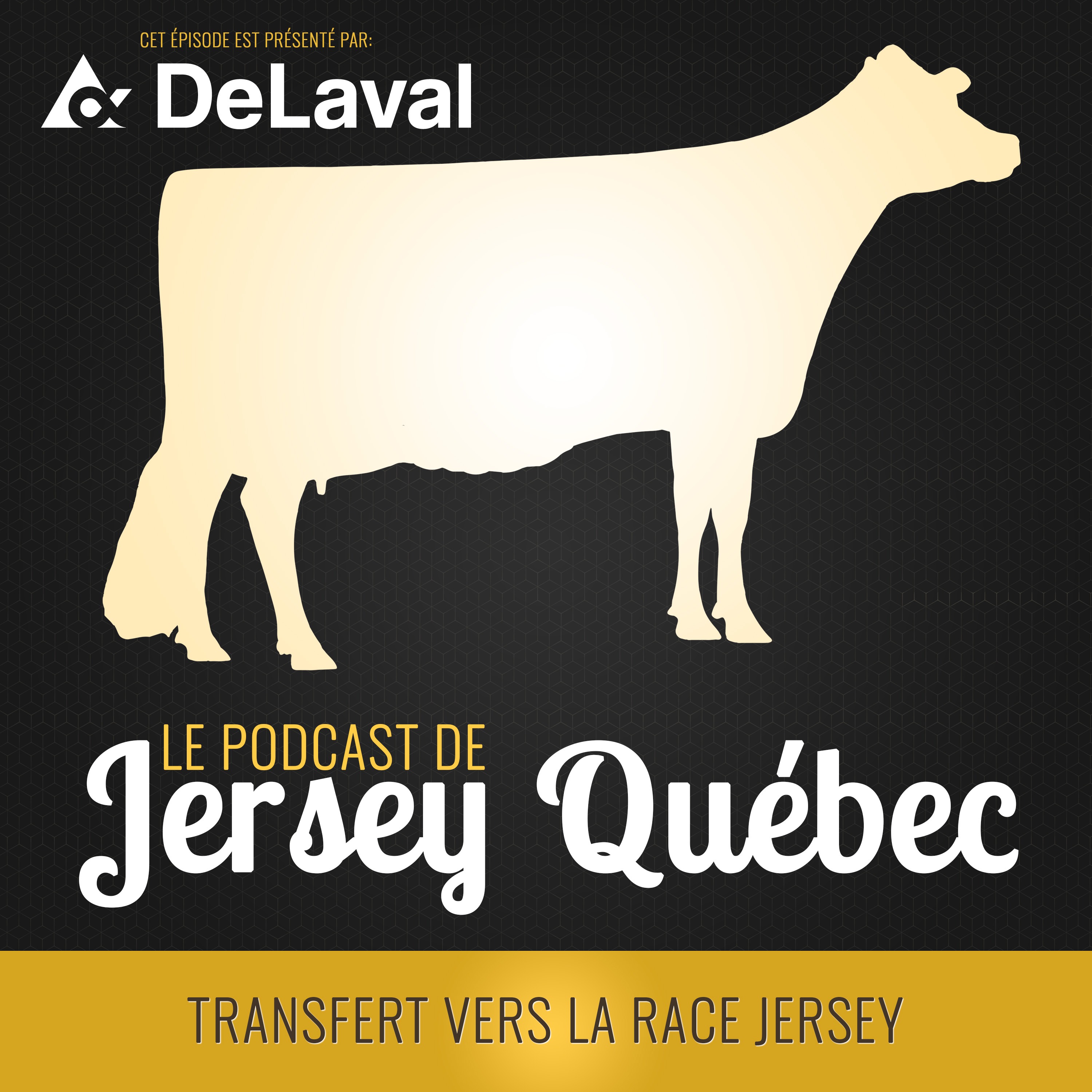 Le podcast de Jersey Québec
