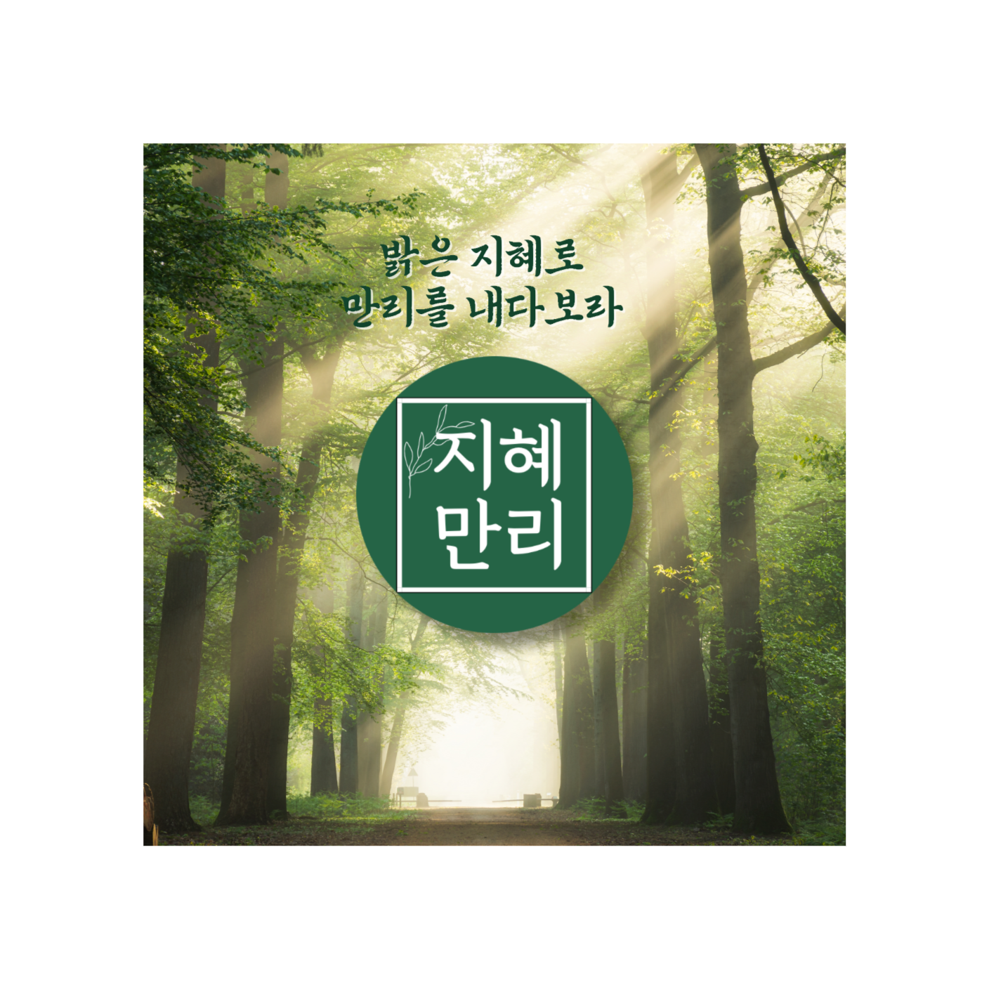 지혜만리