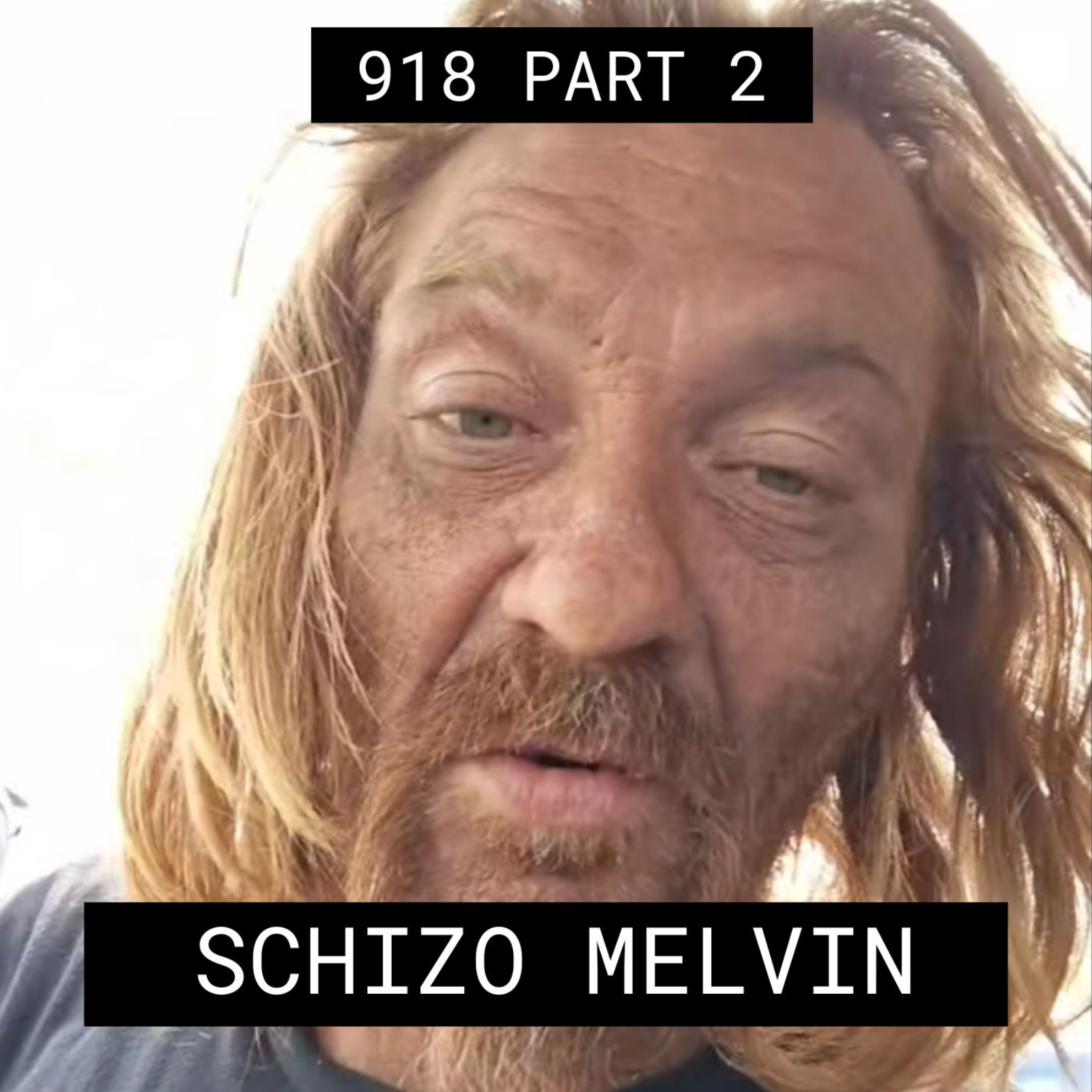 Schizo Melvin - #918 Part 2 episode artwork