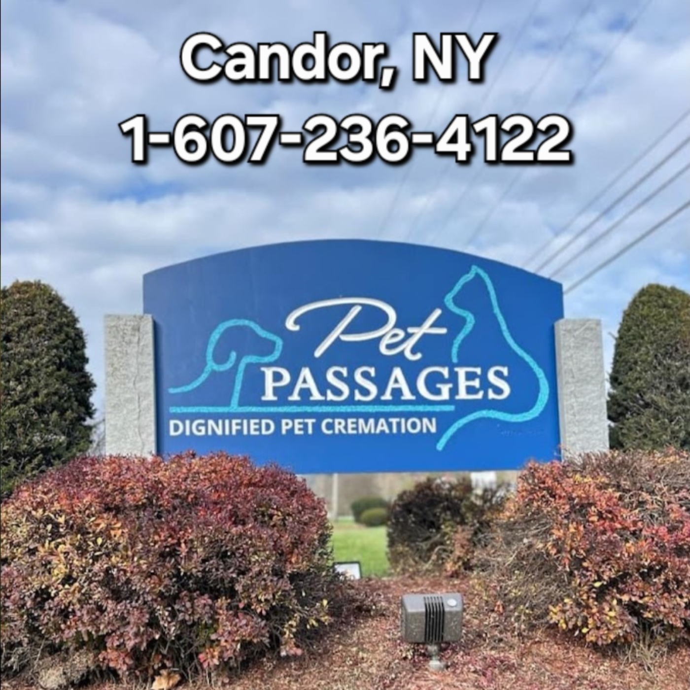 JK\'z REWATCHABLE HOUR