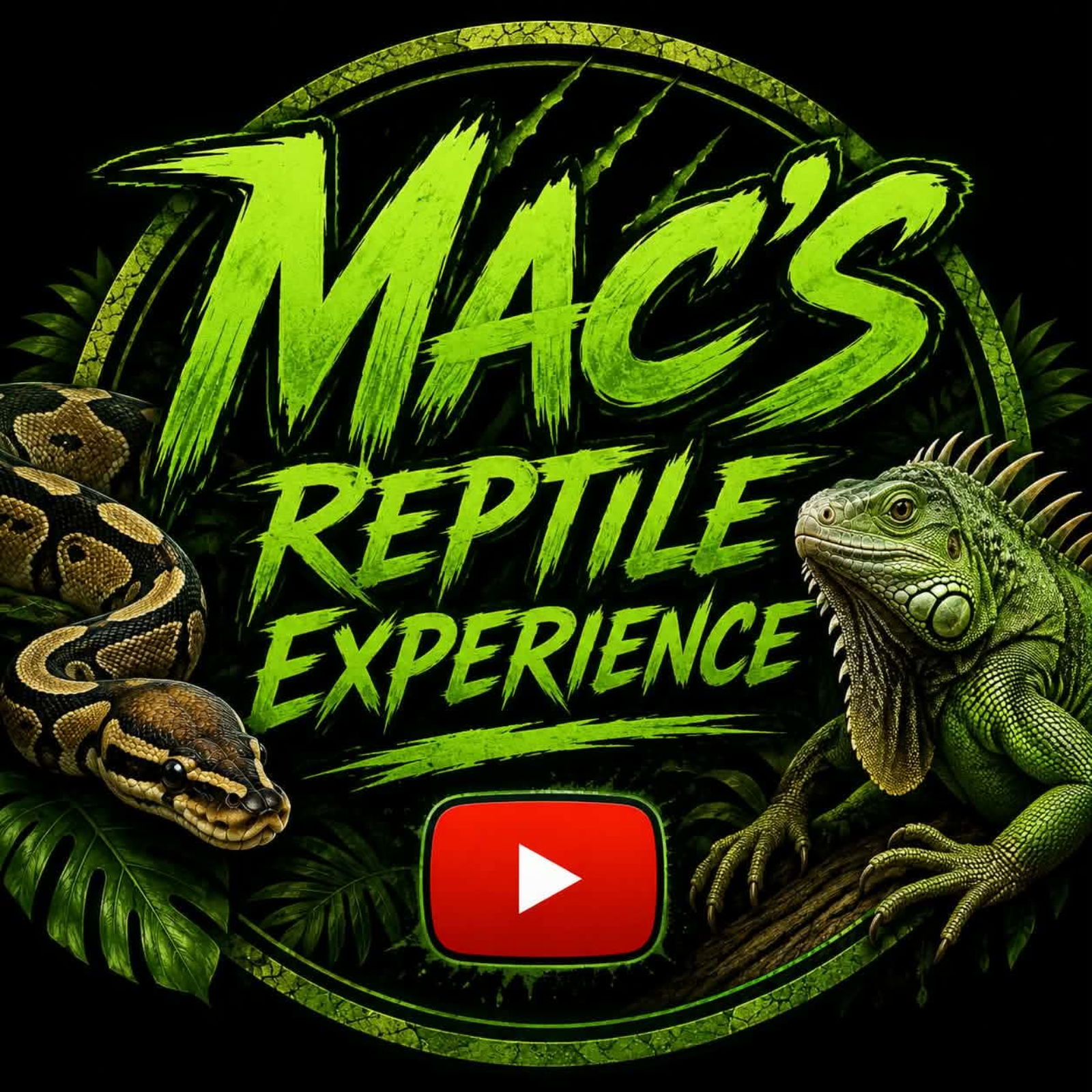 Mac's Reptile Experience episode artwork