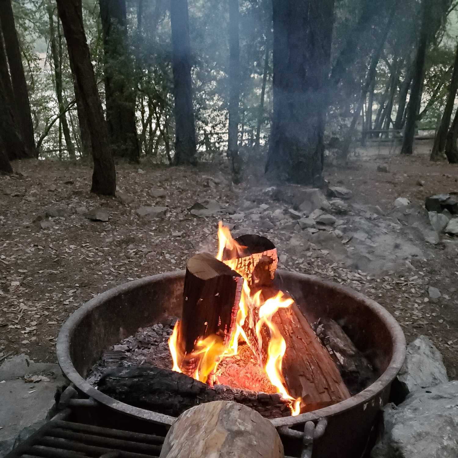 Day 24 Late Night Camping 
