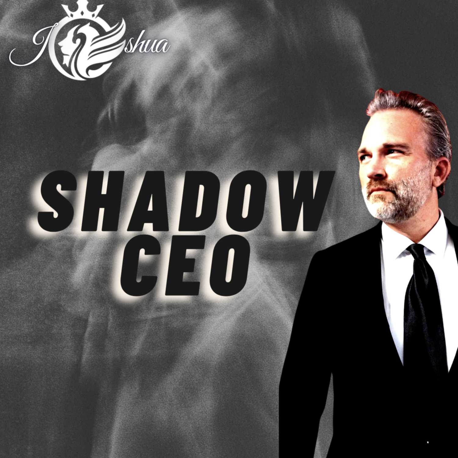 Shadow CEO by Joshua T Berglan
