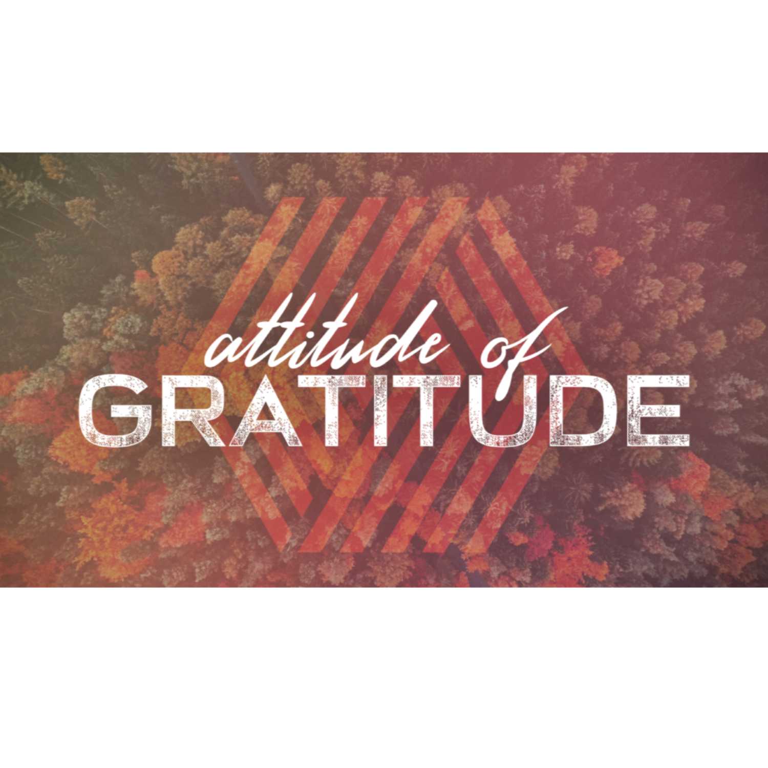 Attitude of Gratitude episode artwork