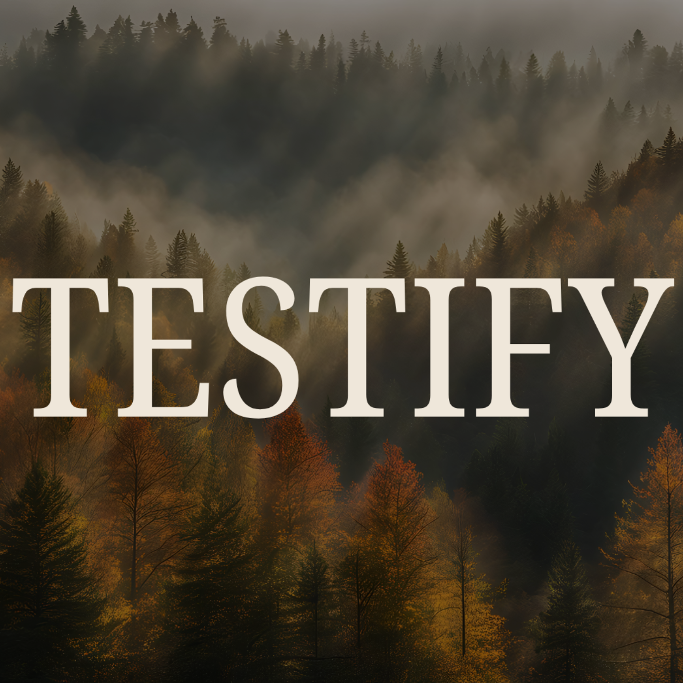 Testify episode artwork