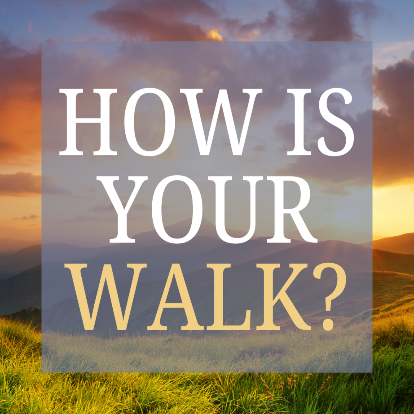 How Is Your Walk? episode artwork