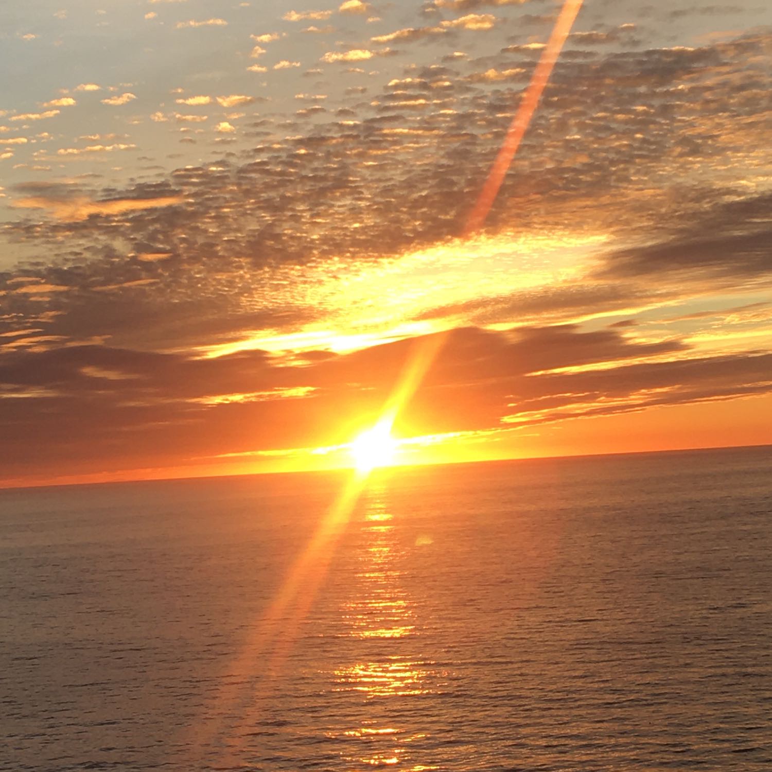 Joyful Morning