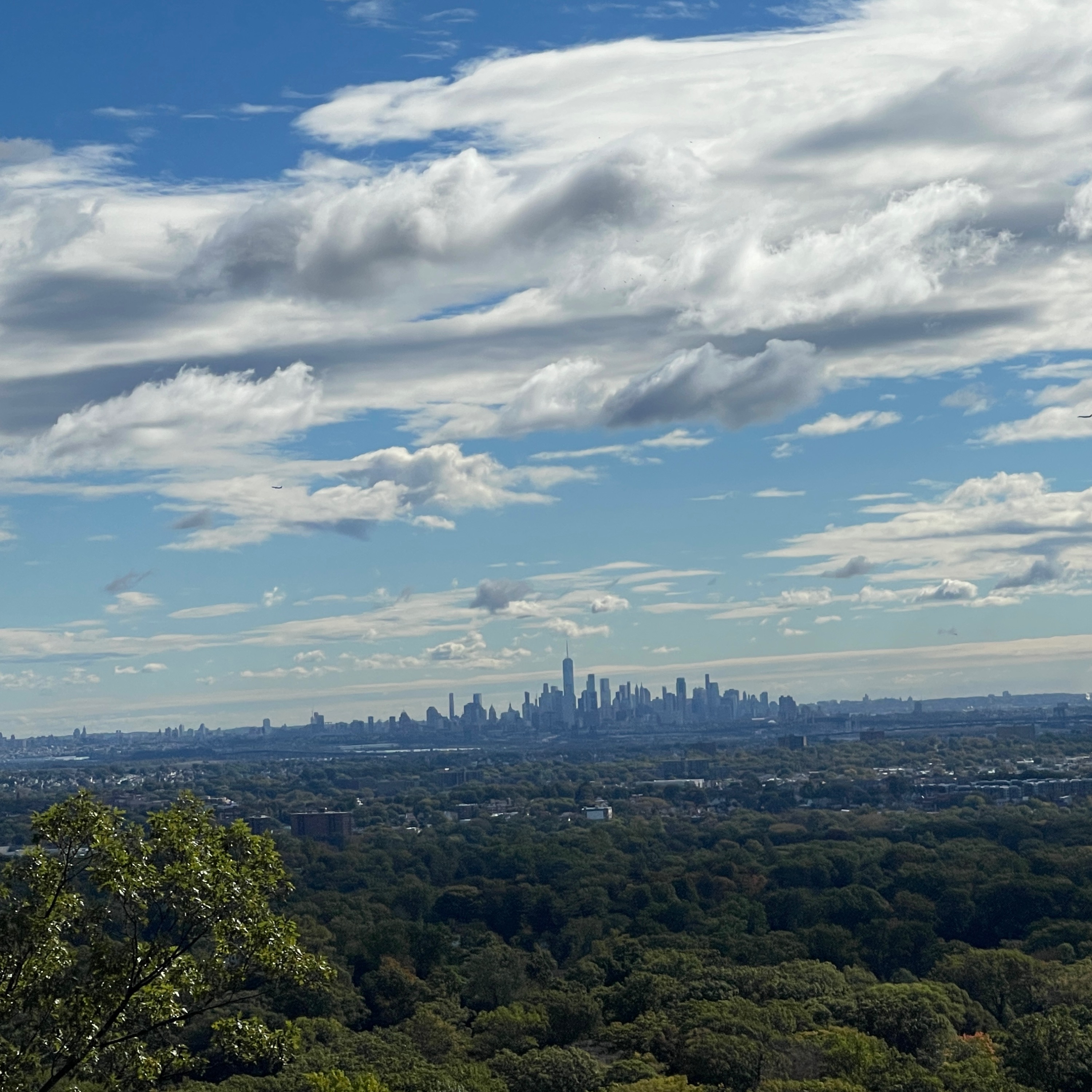 The Joyionaire Speaks