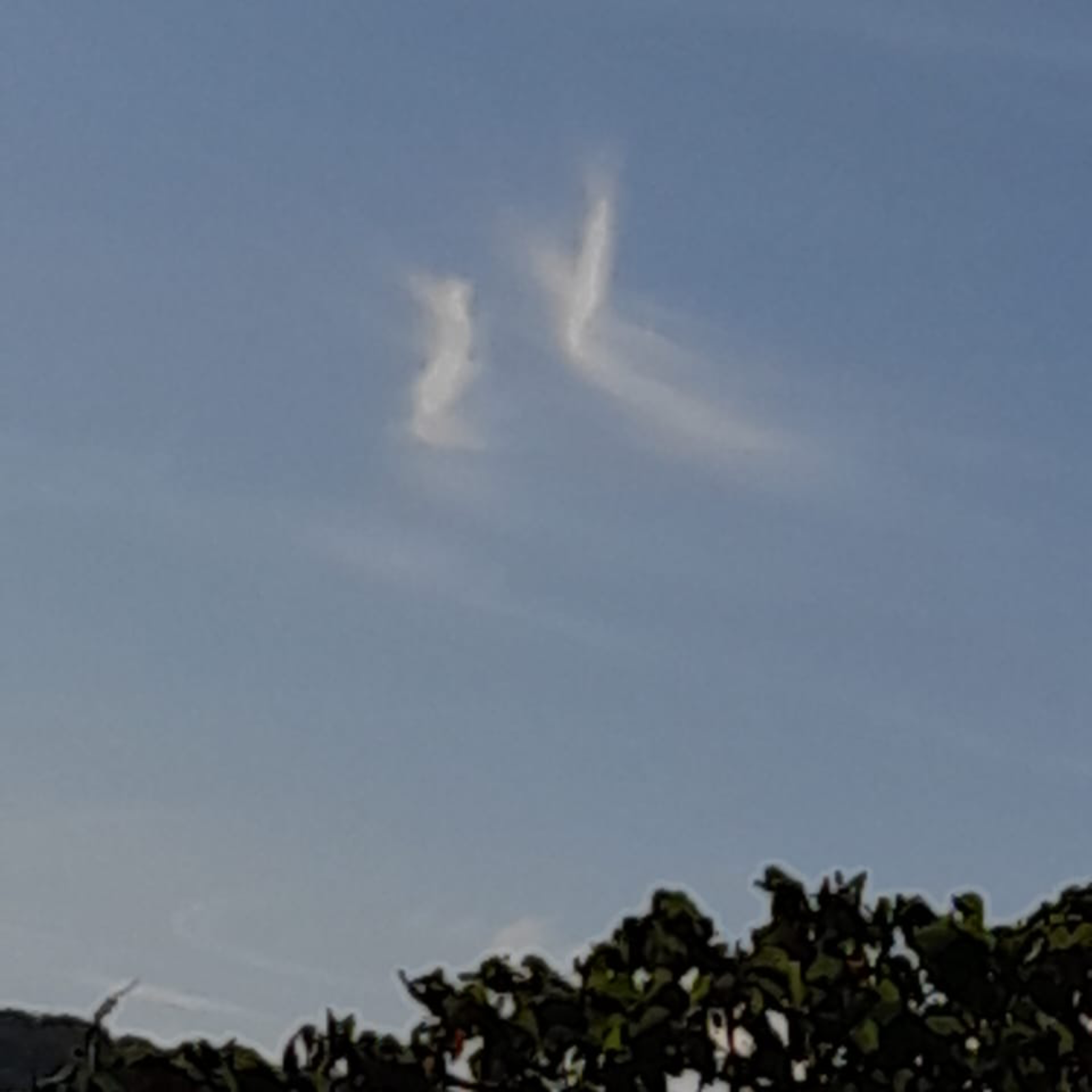 Corman’s songs & books