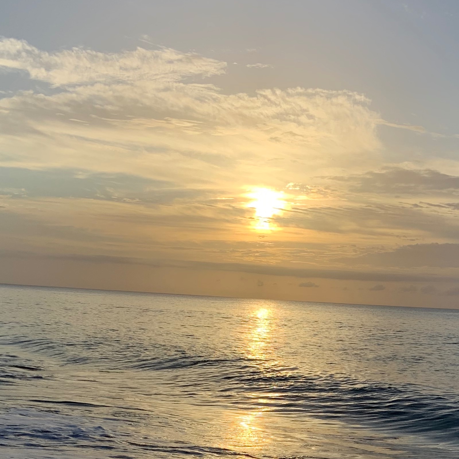 Corman’s songs & books