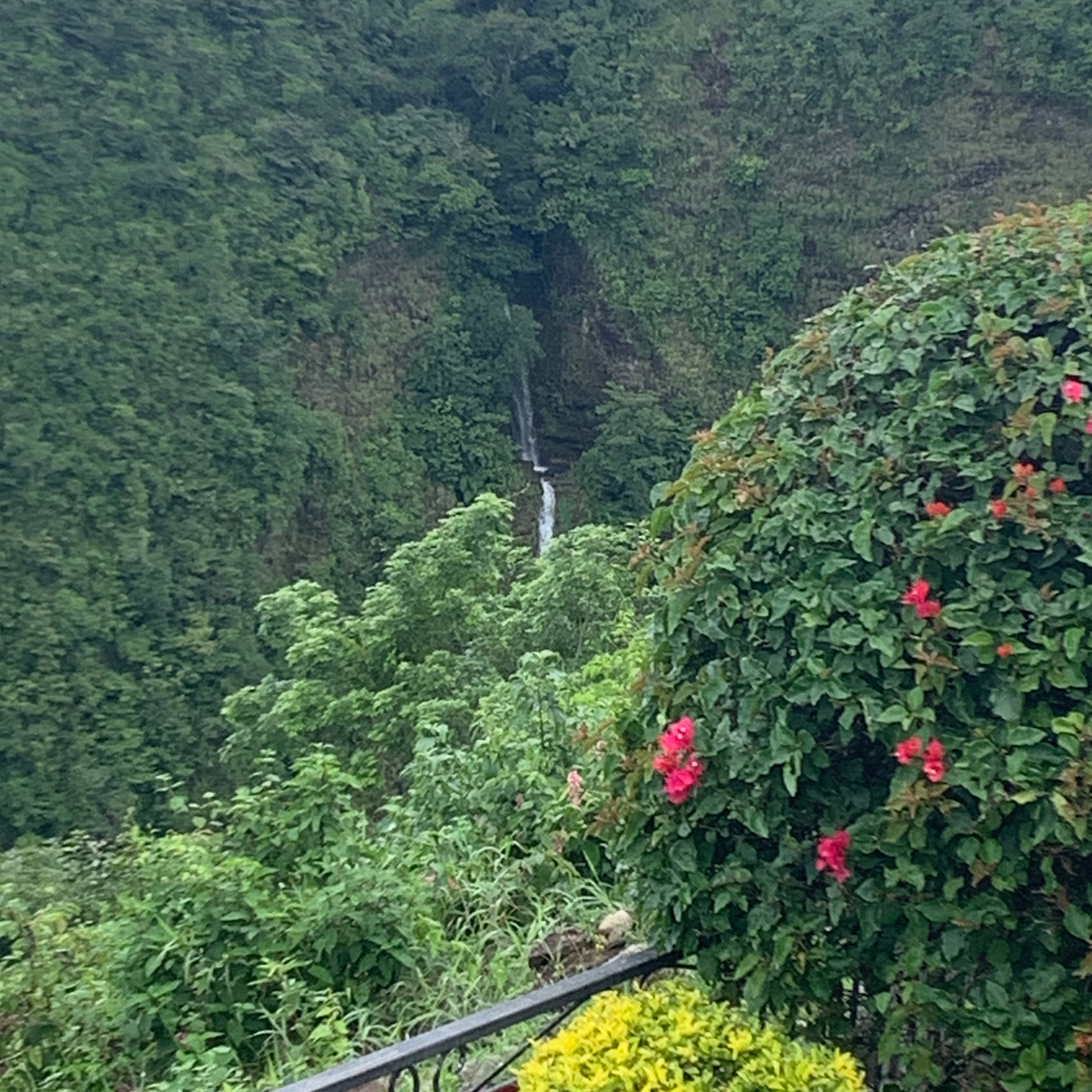 Corman’s songs & books