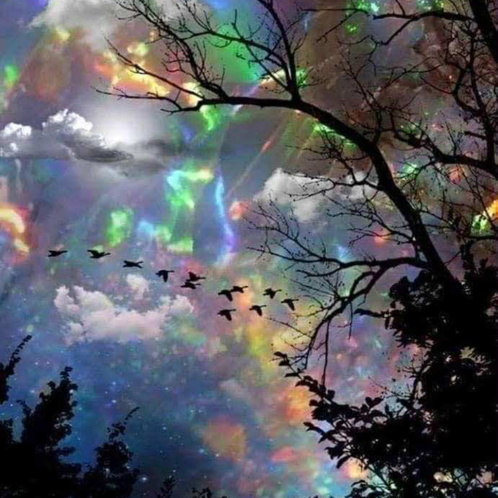 Corman’s songs & books