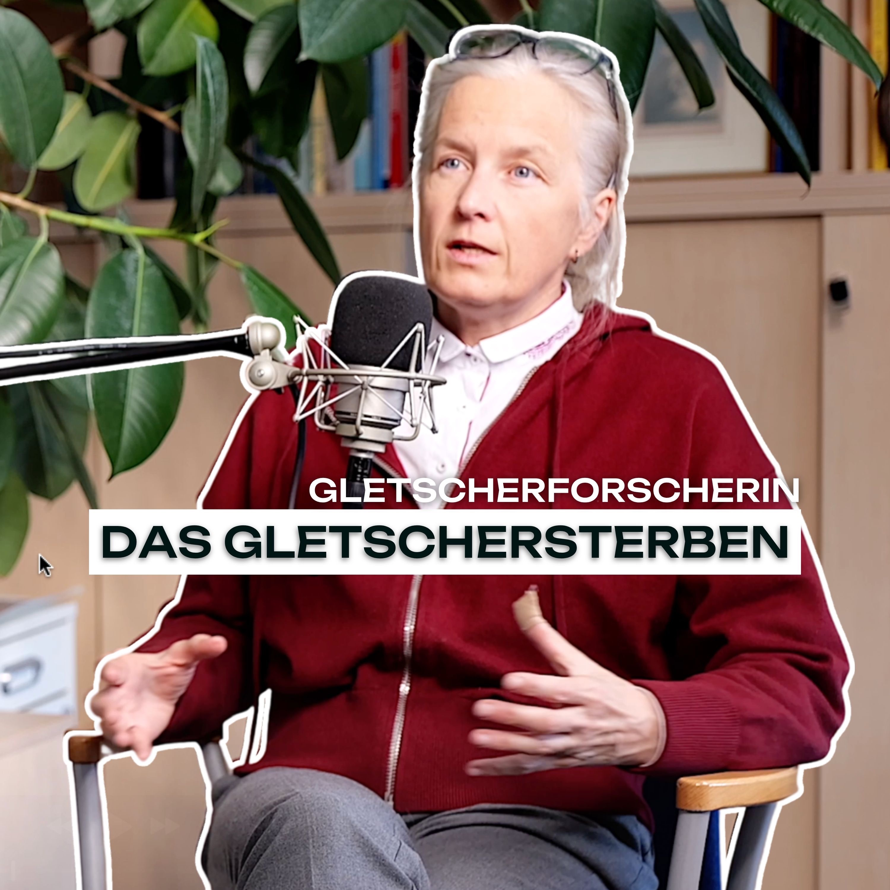 "Die Gletscher kann man nicht mehr retten!" Andrea Fischer - Gletscherforscherin