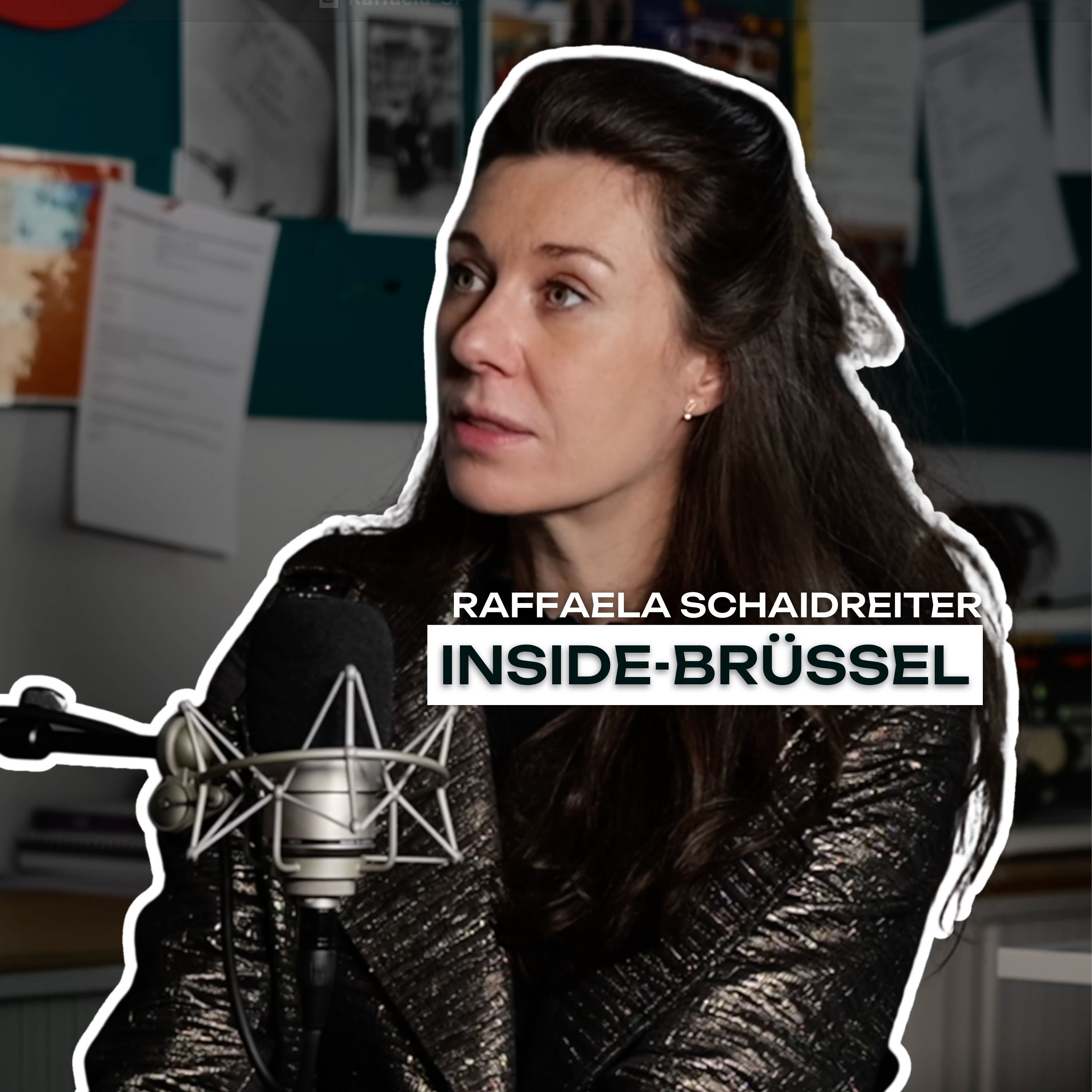 Korrespondentin - Wie funktioniert Journalismus in Brüssel?