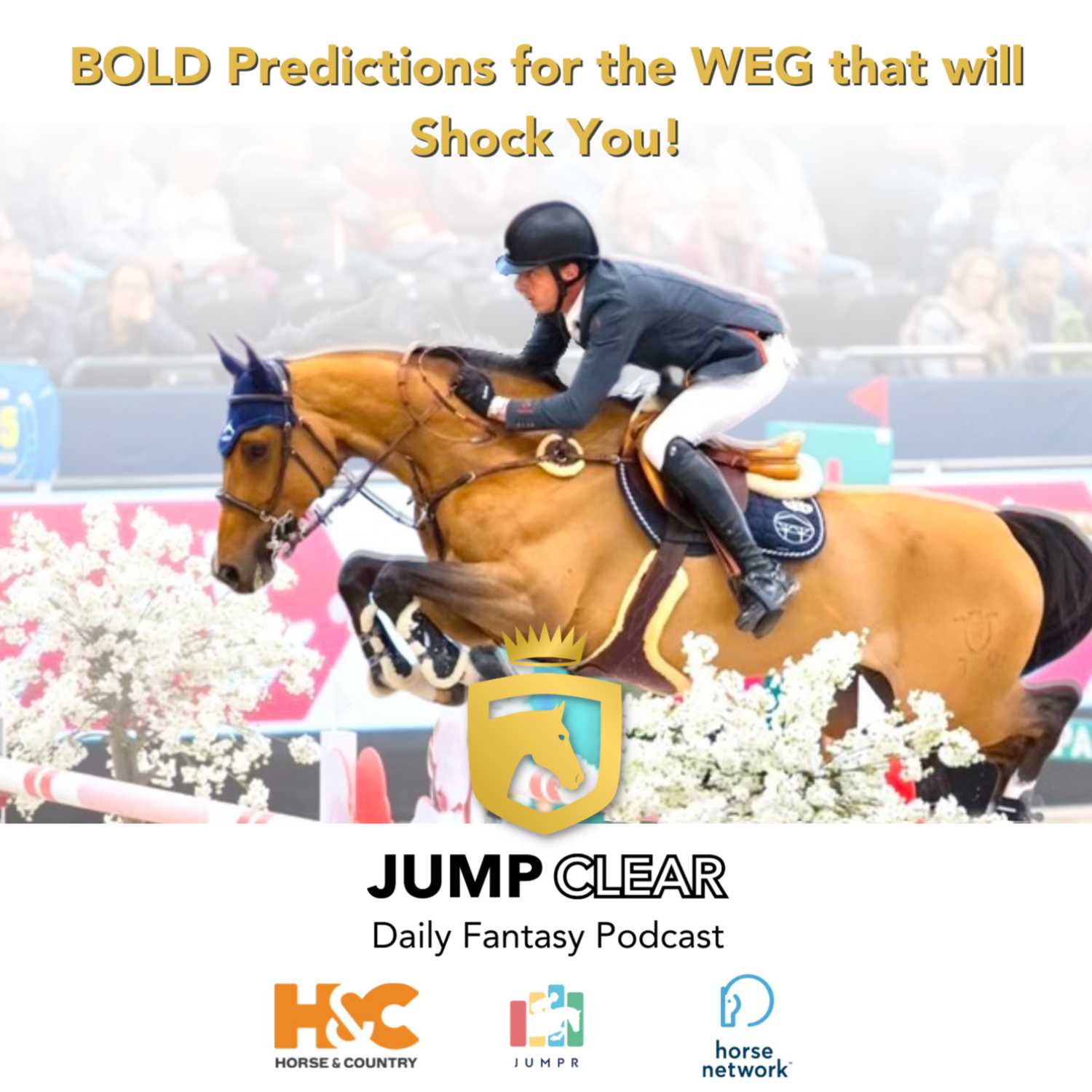 The Jump Clear Daily Fantasy Show