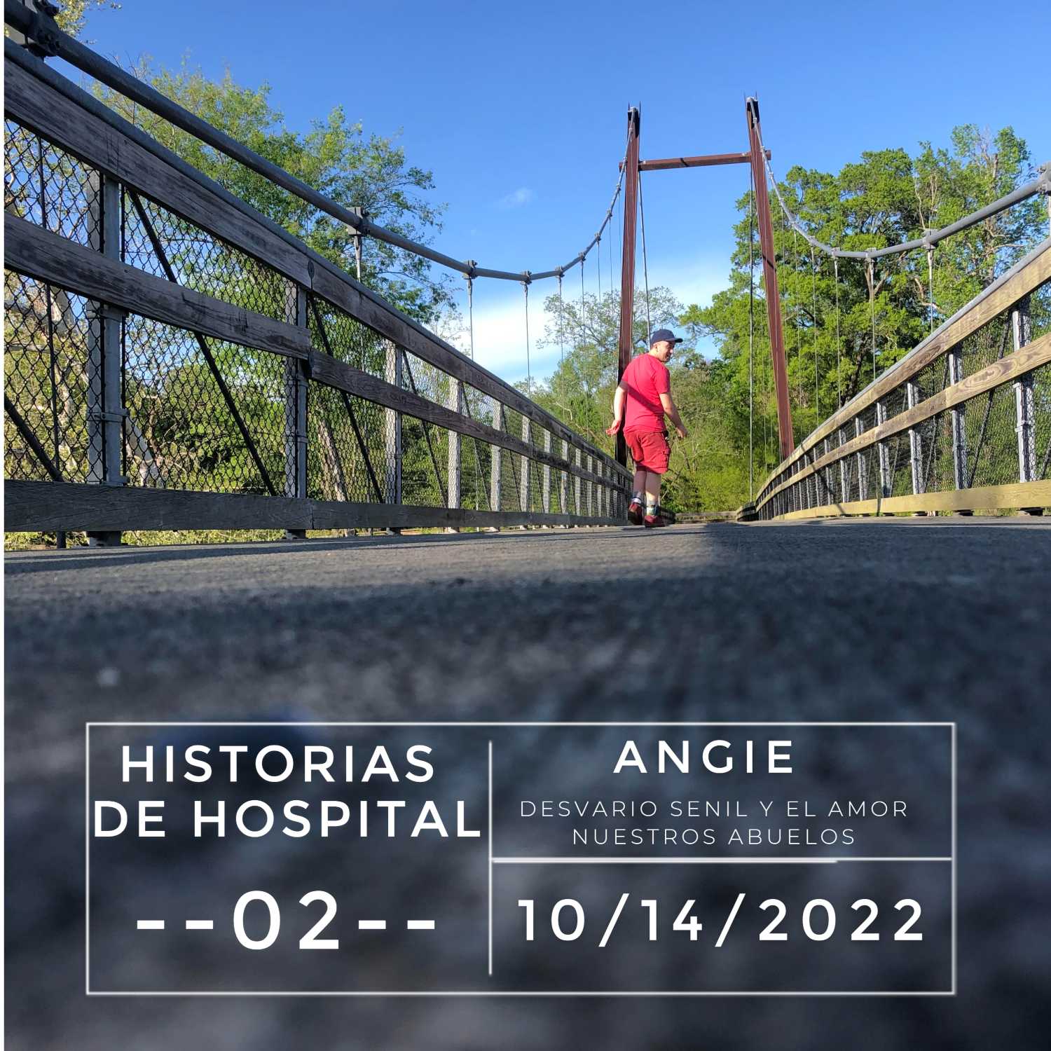 ANGIE Y EL DETERIORO DE LA SENILIDAD (DESVARIO SENIL)