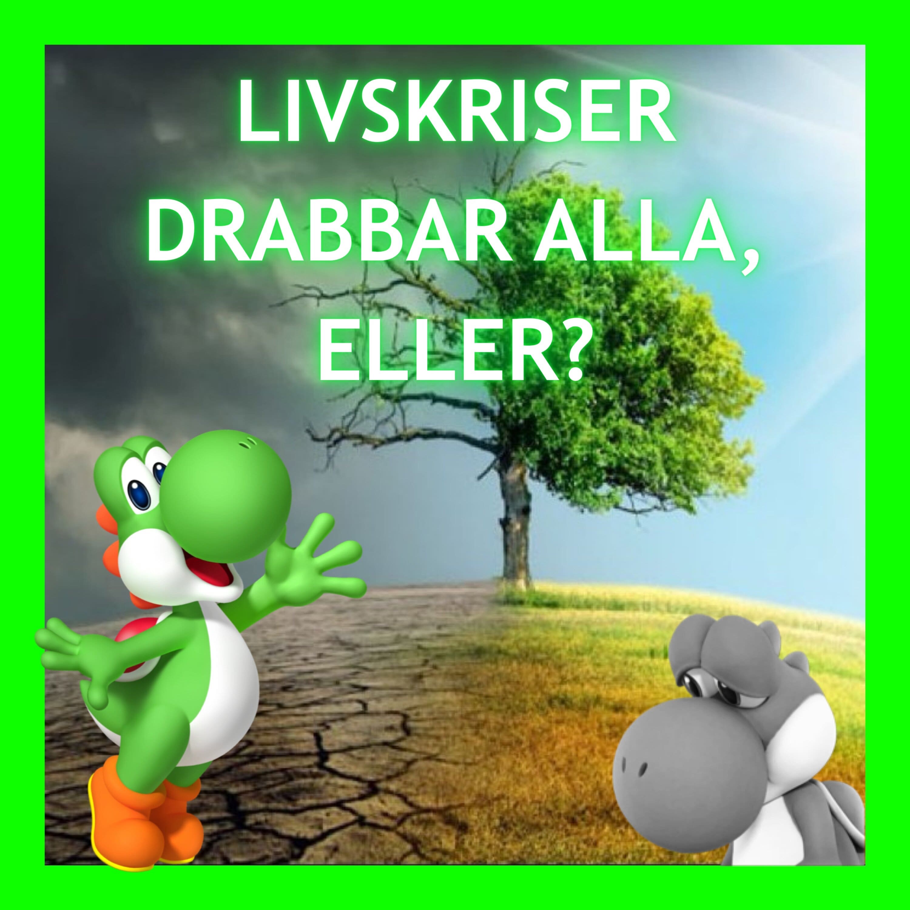 SPEGELN - av Vad i hela