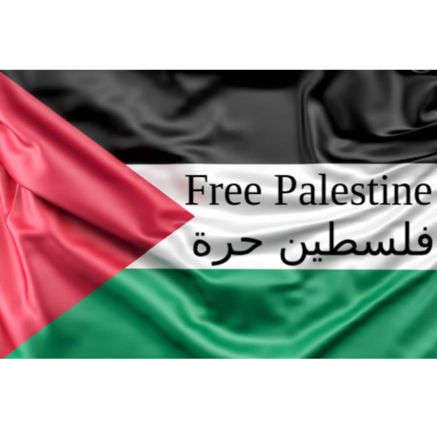 Free PALESTINE episode artwork