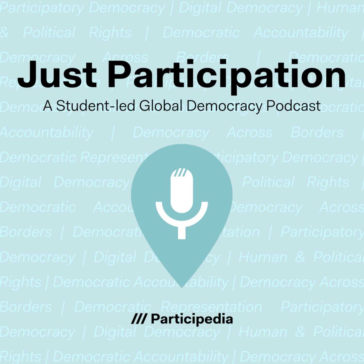 Just Participation