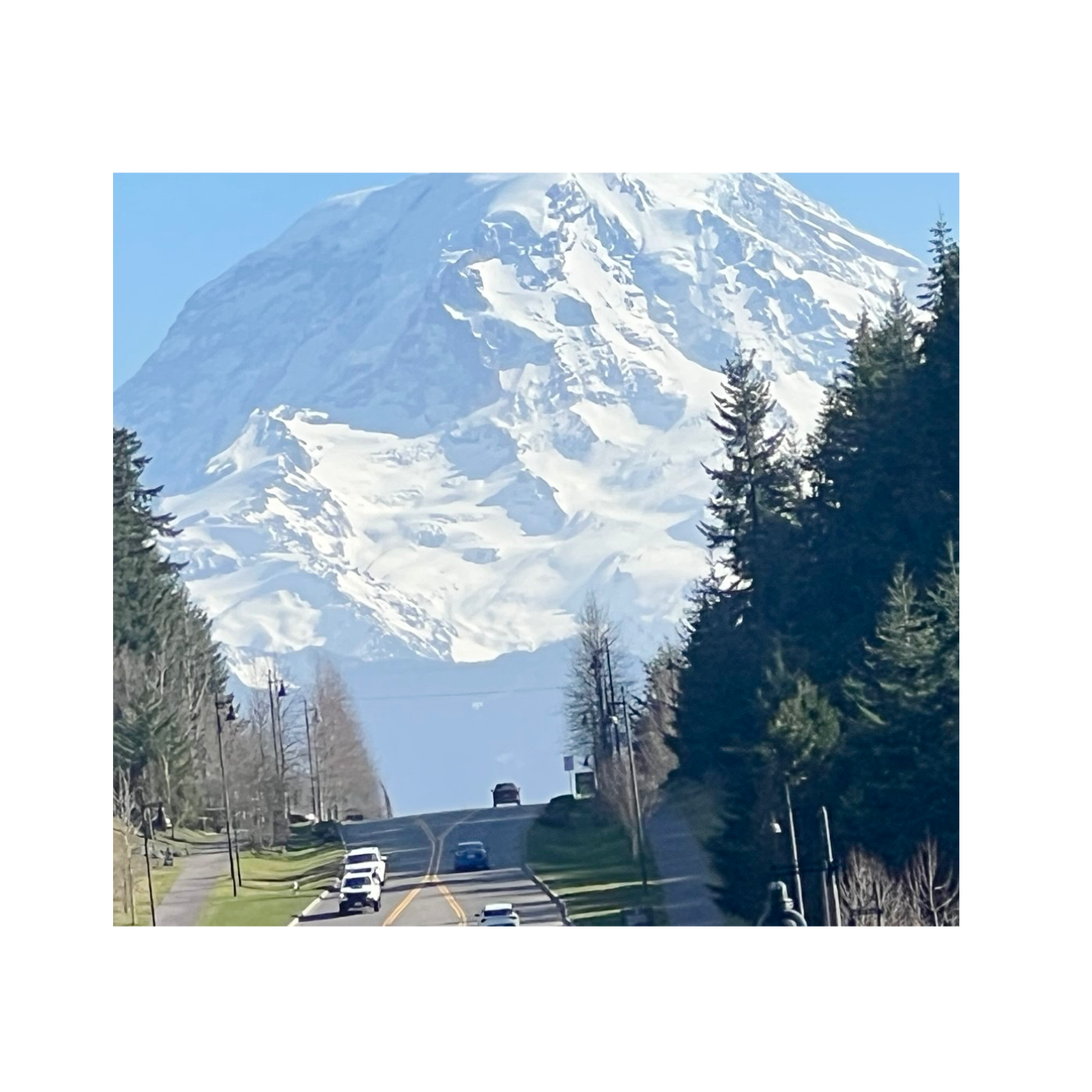 پادکست کاج|kaaj podcast