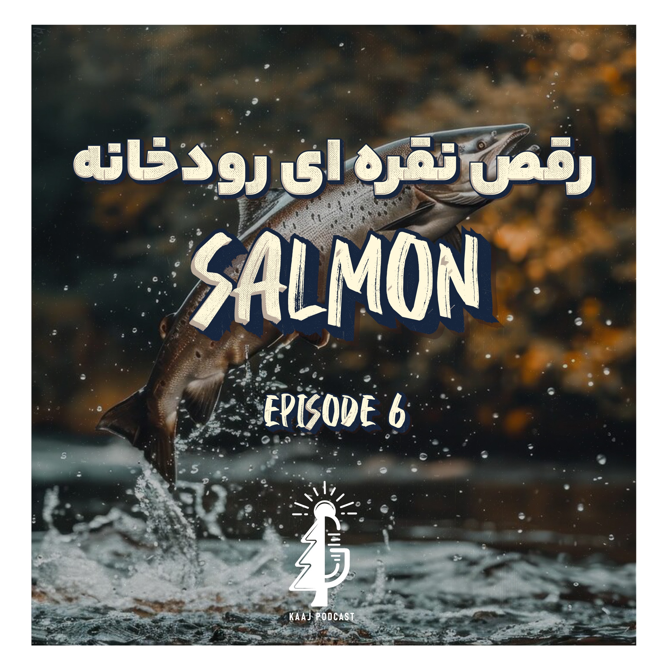 سالمون ،رقص نقره ای رودخانه| salmon