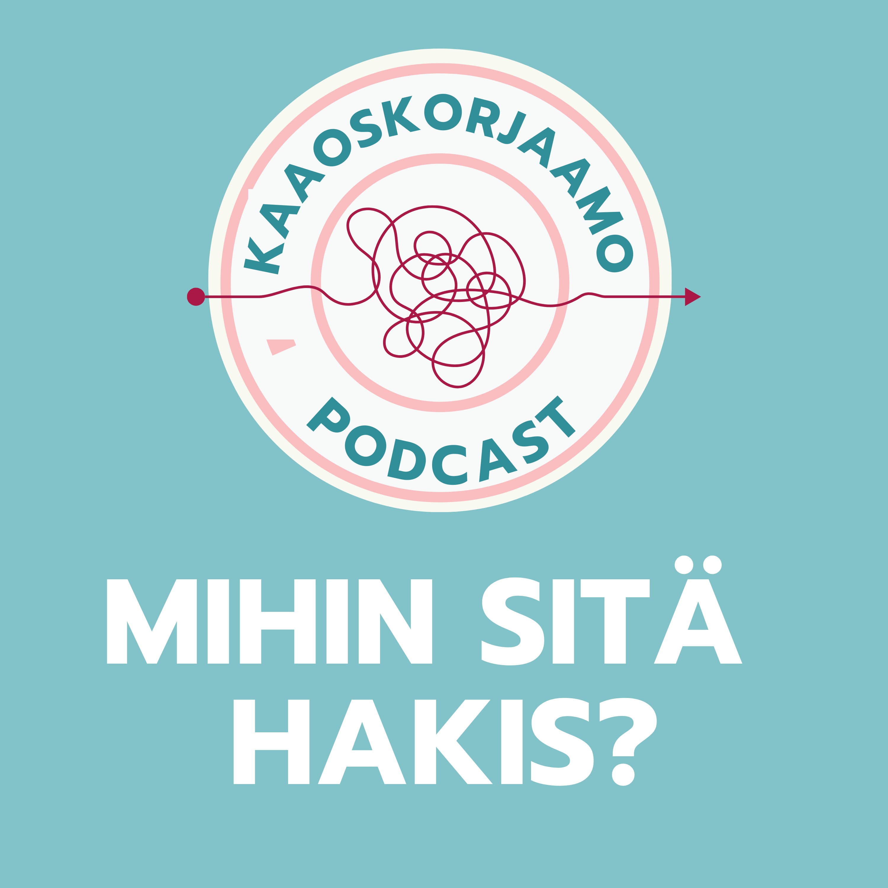 Mihin sitä hakis? episode artwork