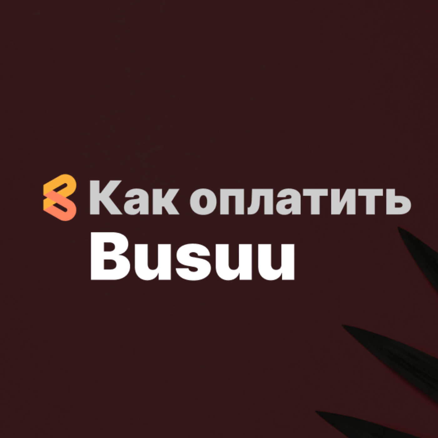 Оплата Busuu из России в 2024 году episode artwork
