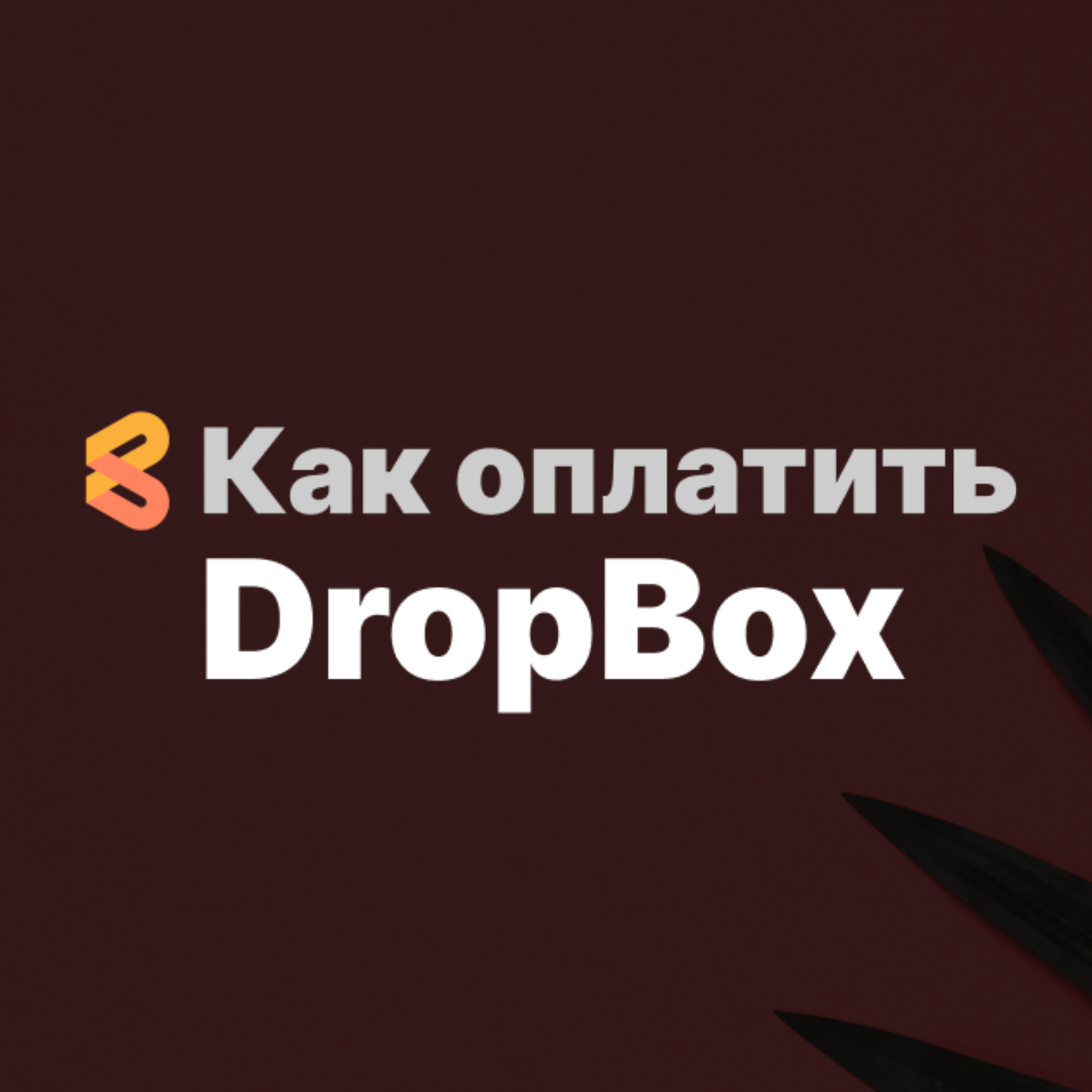 Как оплатить DropBox из России в 2024 году episode artwork