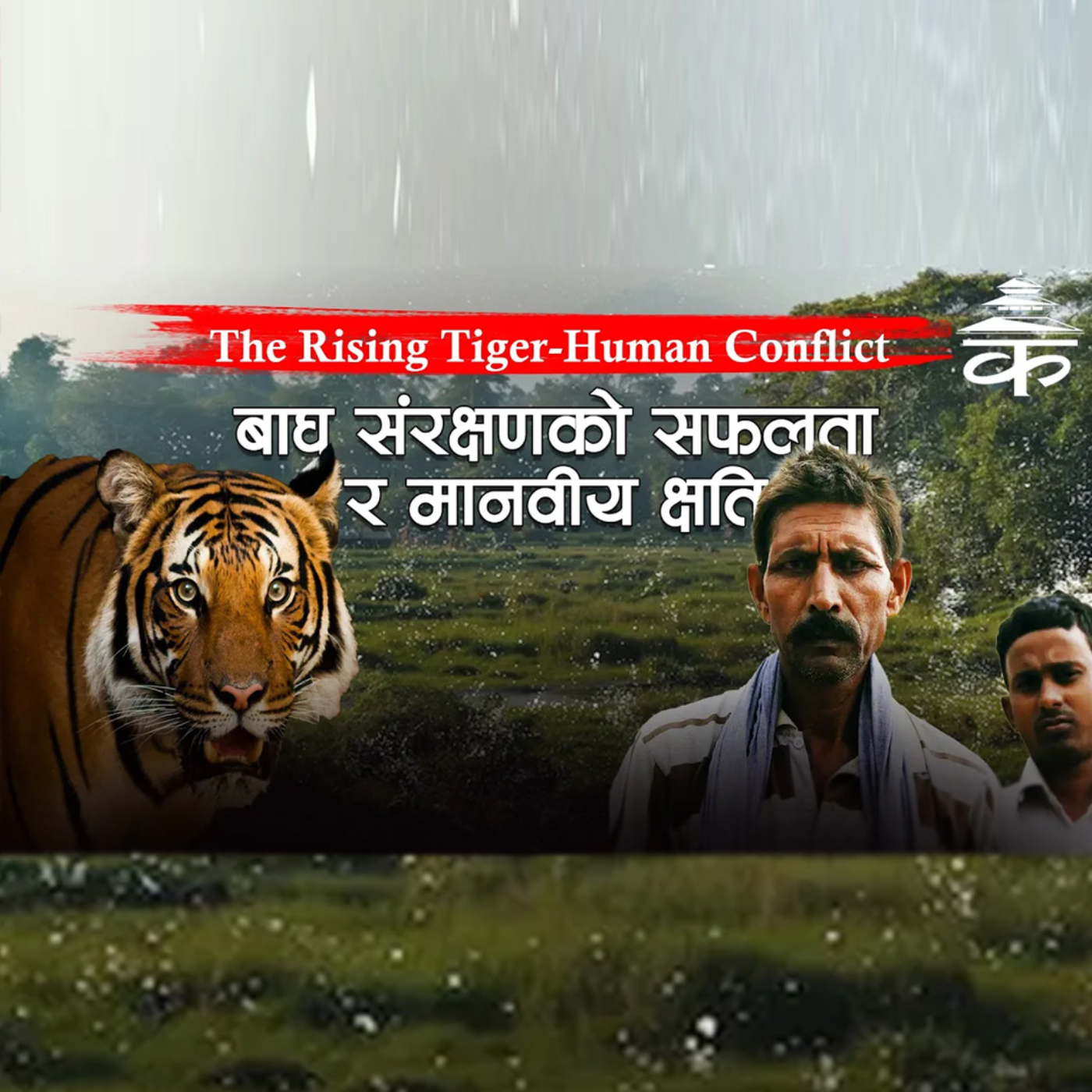 The Rising Tiger-Human Conflict | बाघ संरक्षणको सफलता र मानवीय क्षति : Kantipur Explained episode artwork