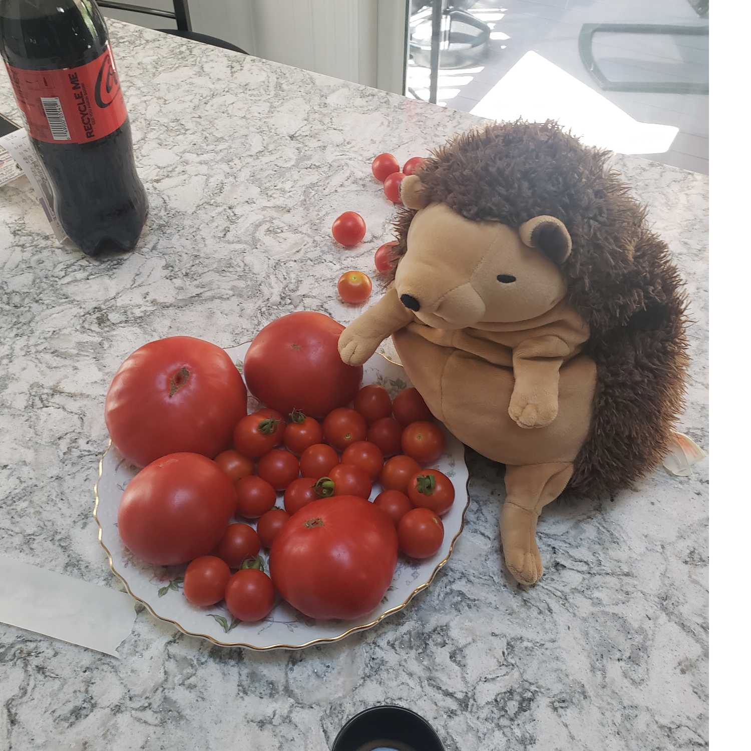 Kawfee 19