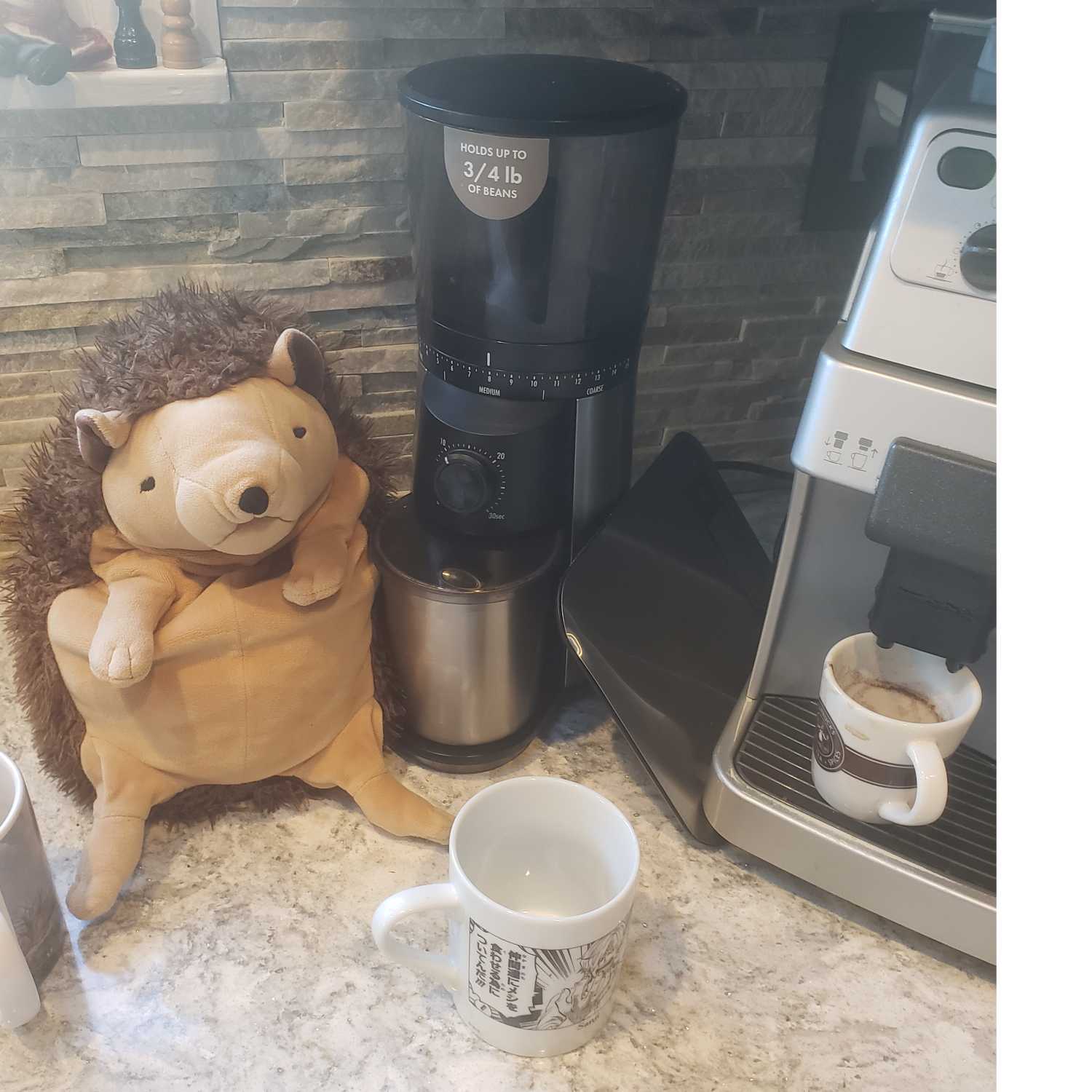 Kawfee 31