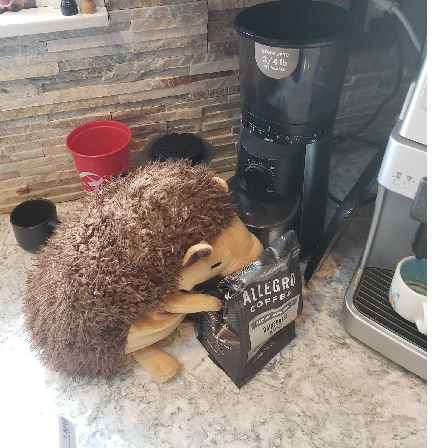 Kawfee 37