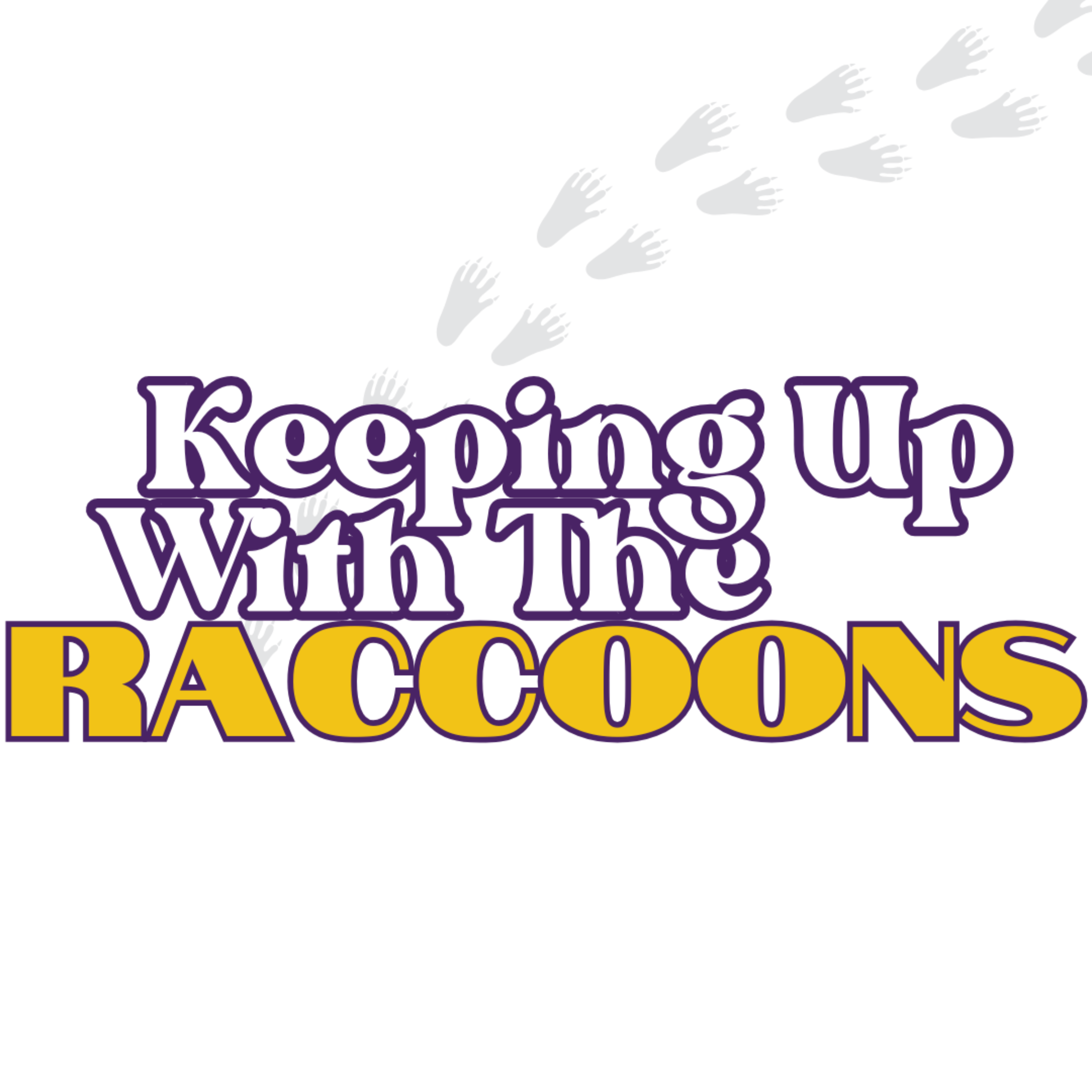 Keeping Up With The Raccoons