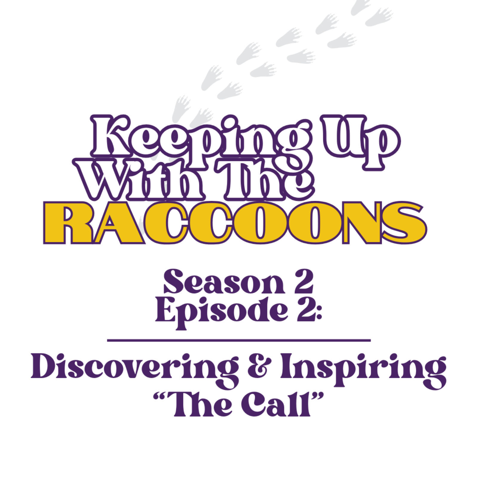 Keeping Up With The Raccoons