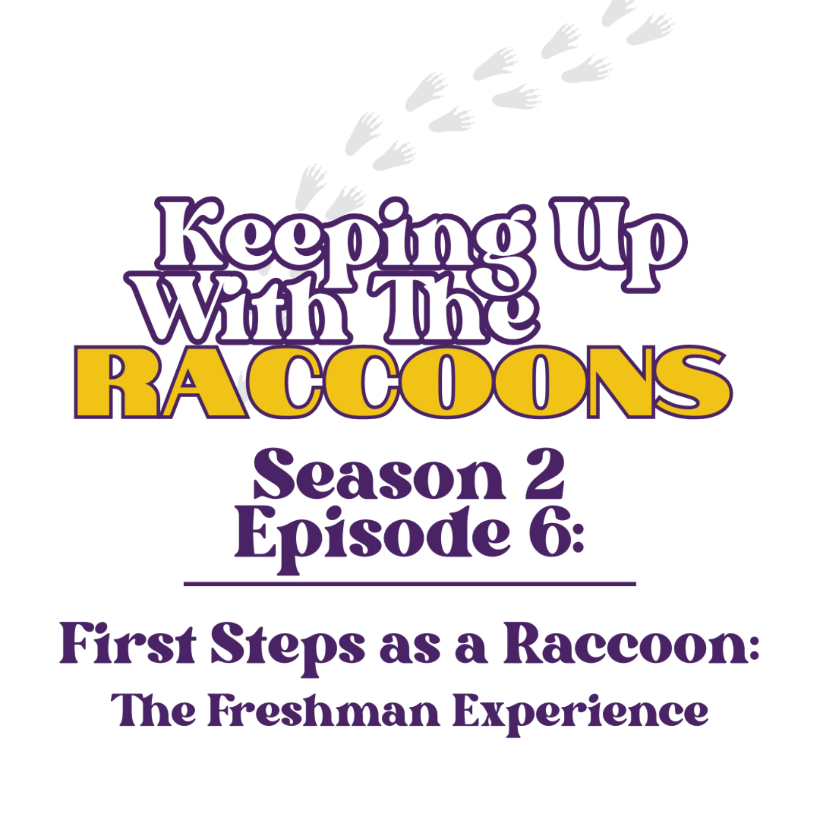 Keeping Up With The Raccoons