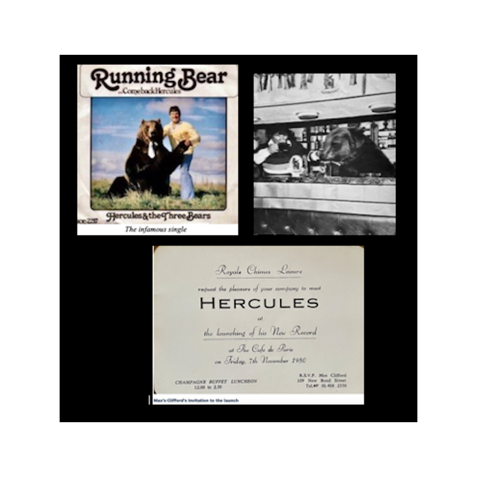 The Crazy Recording Career of Hercules the Grizzly Bear & 2500. Sales of The Single