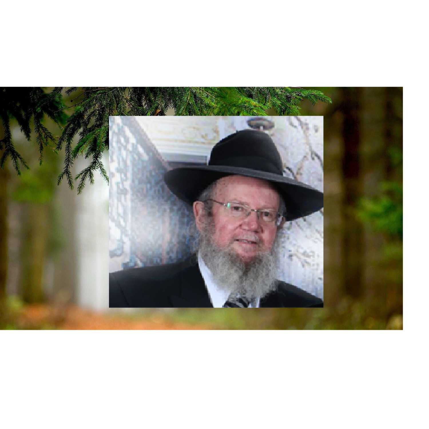 קריאת גמרא artwork