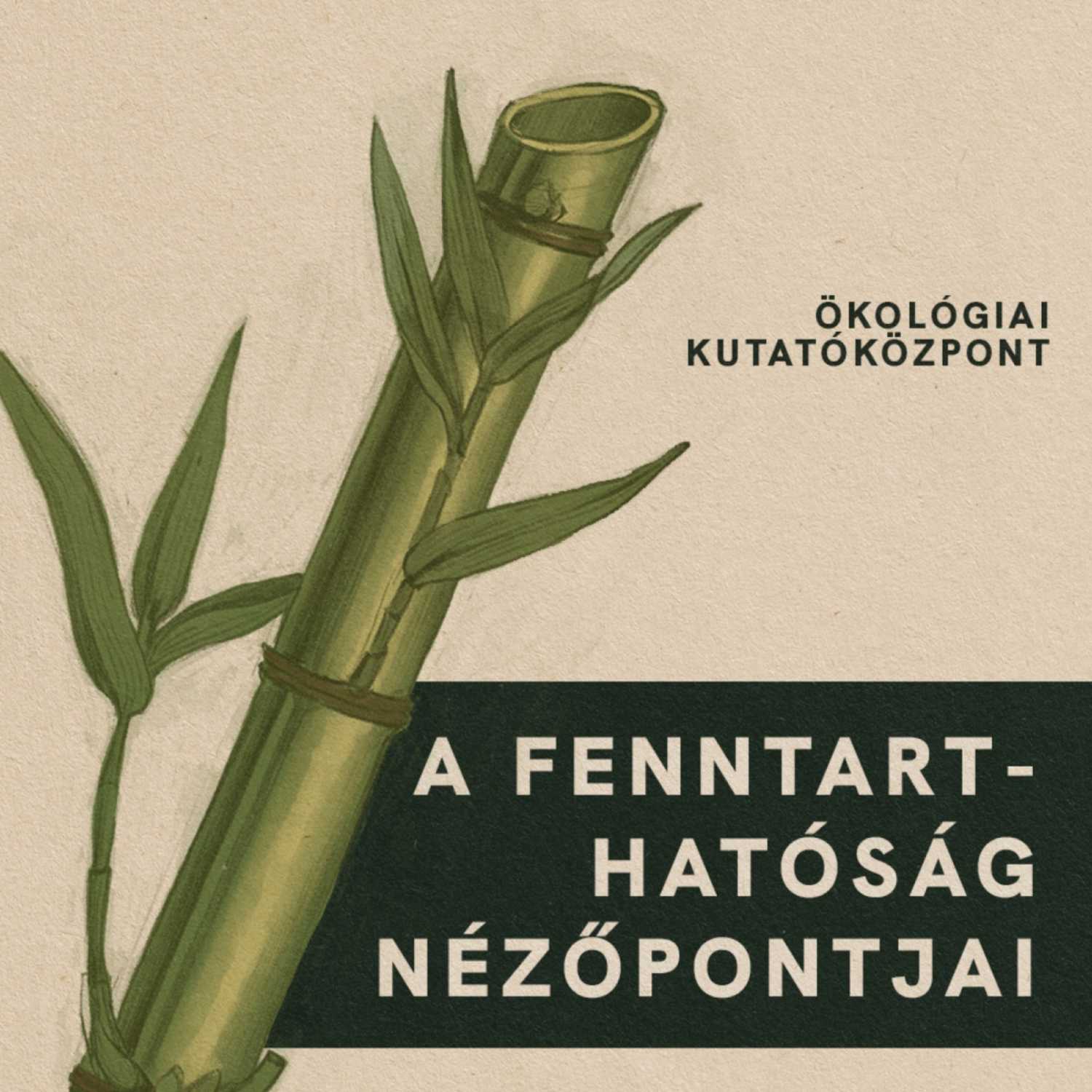 KULTÚRA, ÖKOLÓGIA, BOTANIKA - KERT A KÖBÖN