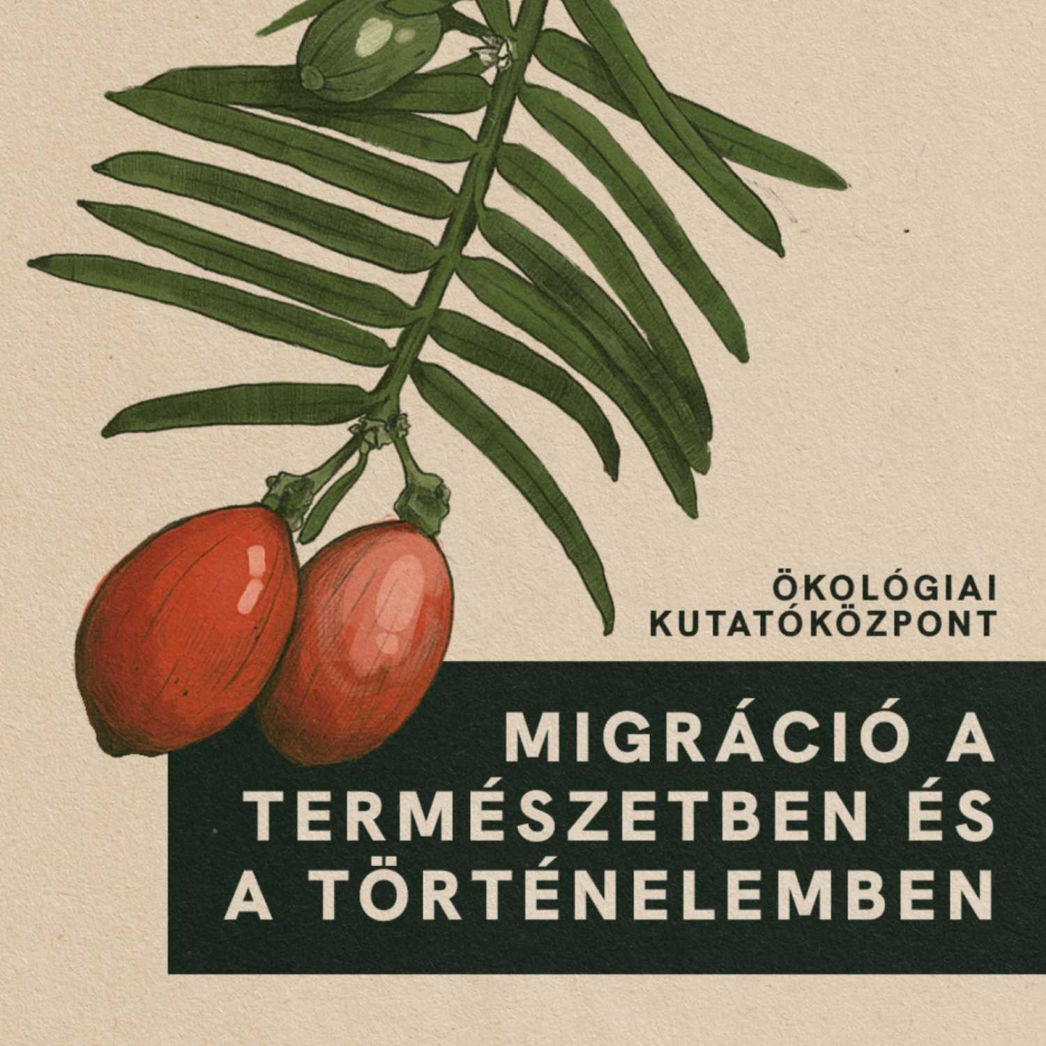 KULTÚRA, ÖKOLÓGIA, BOTANIKA - KERT A KÖBÖN