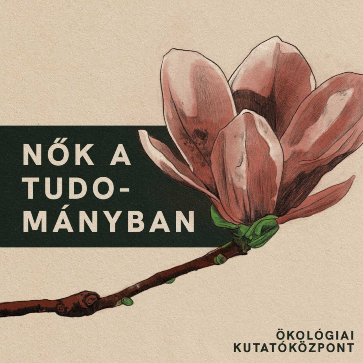KULTÚRA, ÖKOLÓGIA, BOTANIKA - KERT A KÖBÖN