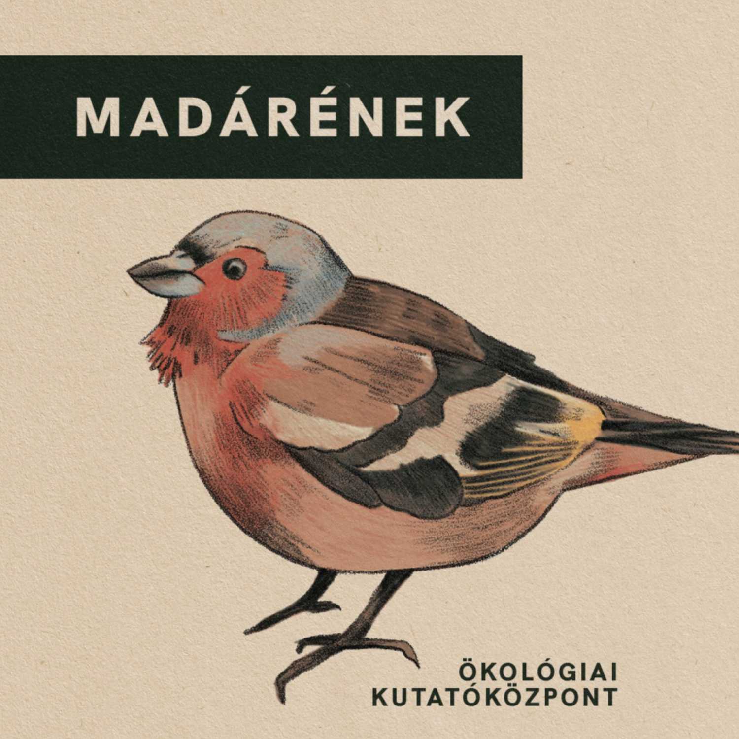 KULTÚRA, ÖKOLÓGIA, BOTANIKA - KERT A KÖBÖN