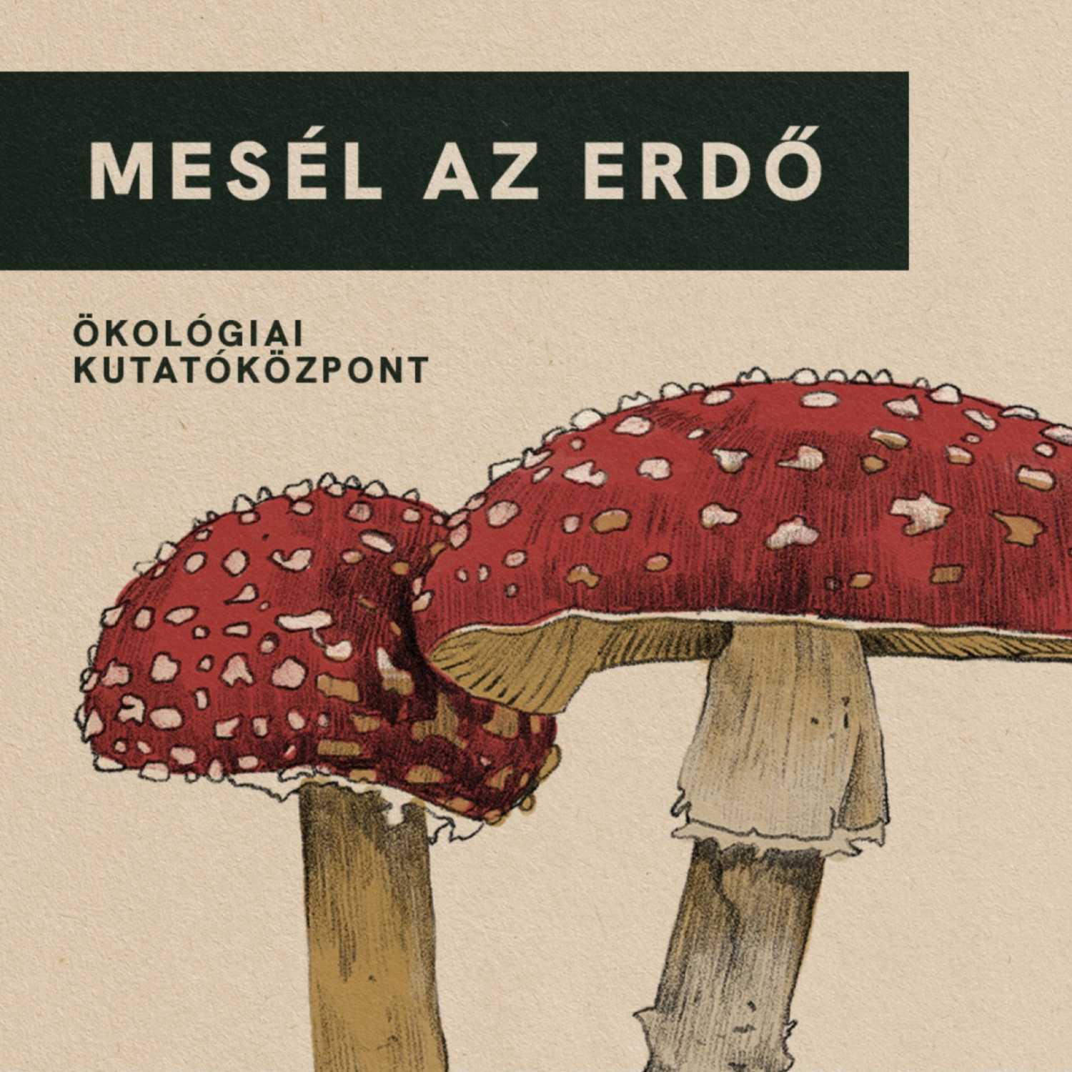 KULTÚRA, ÖKOLÓGIA, BOTANIKA - KERT A KÖBÖN