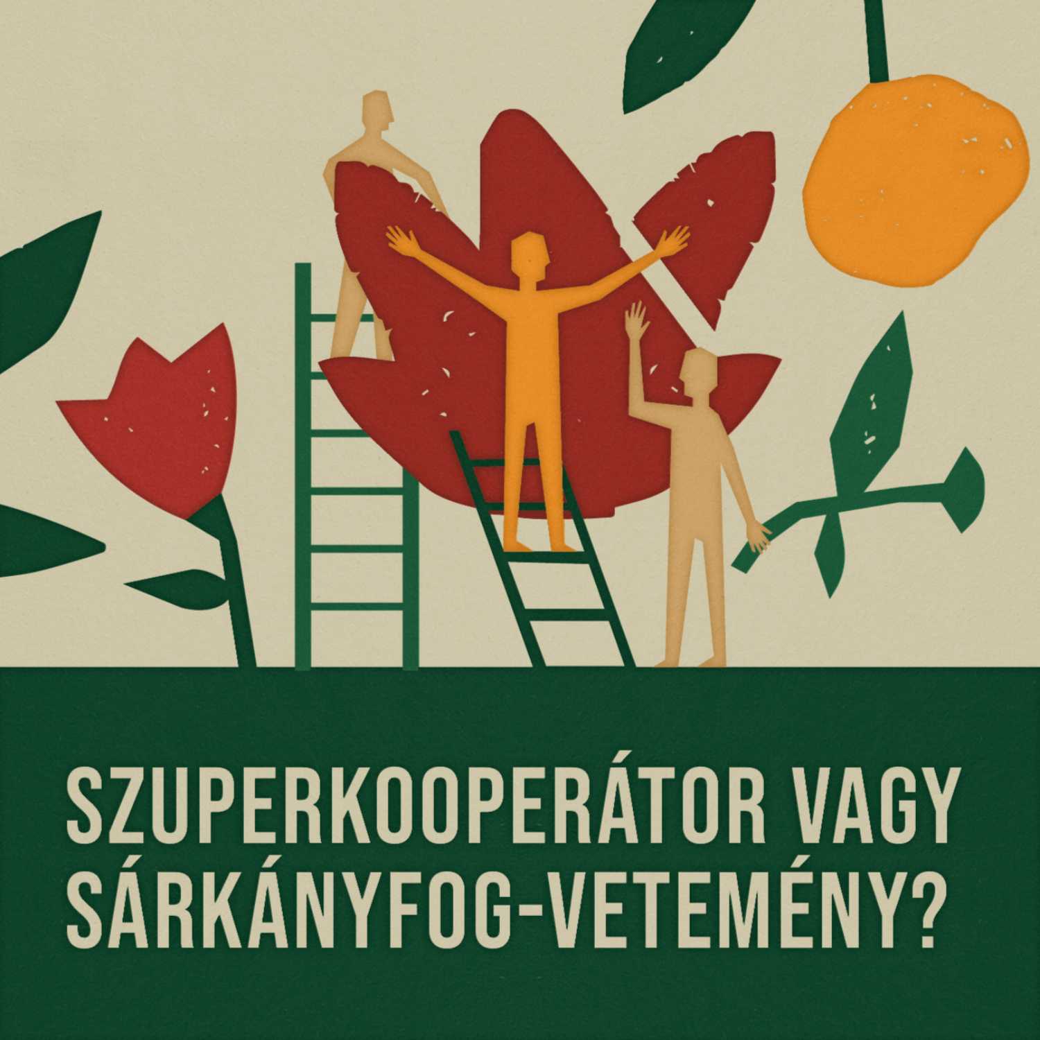KULTÚRA, ÖKOLÓGIA, BOTANIKA - KERT A KÖBÖN