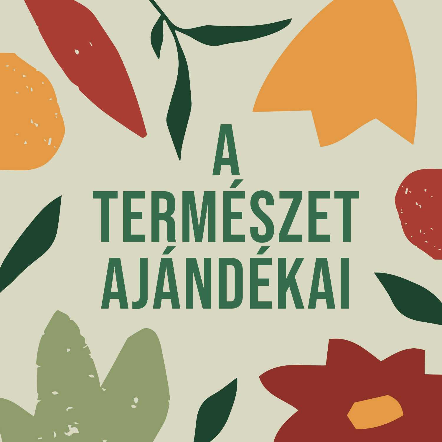 KULTÚRA, ÖKOLÓGIA, BOTANIKA - KERT A KÖBÖN